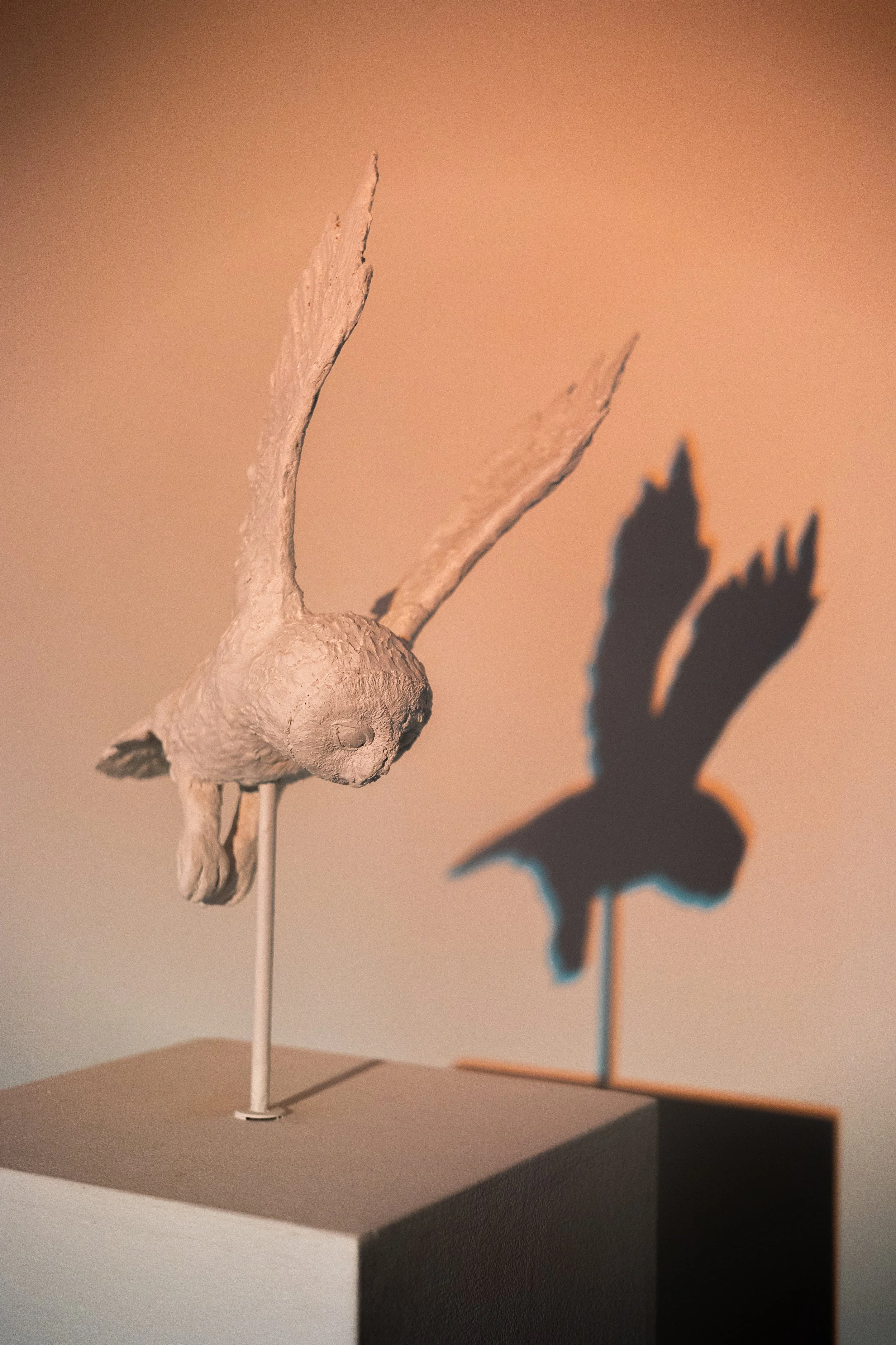 A sculpture of a rabbit with long ears, standing on a stand, casting a shadow of a butterfly on the wall behind it.