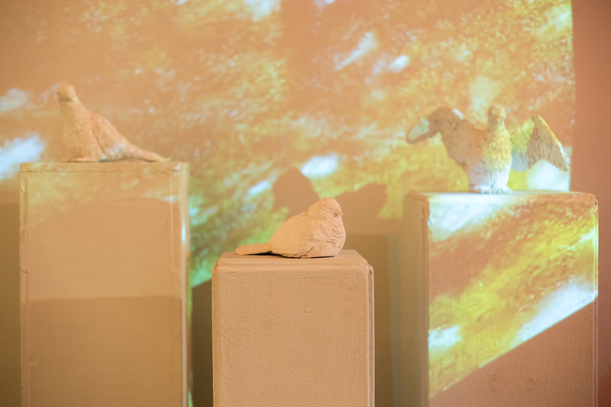 Clay sculptures of birds on display with a colorful abstract background projection.