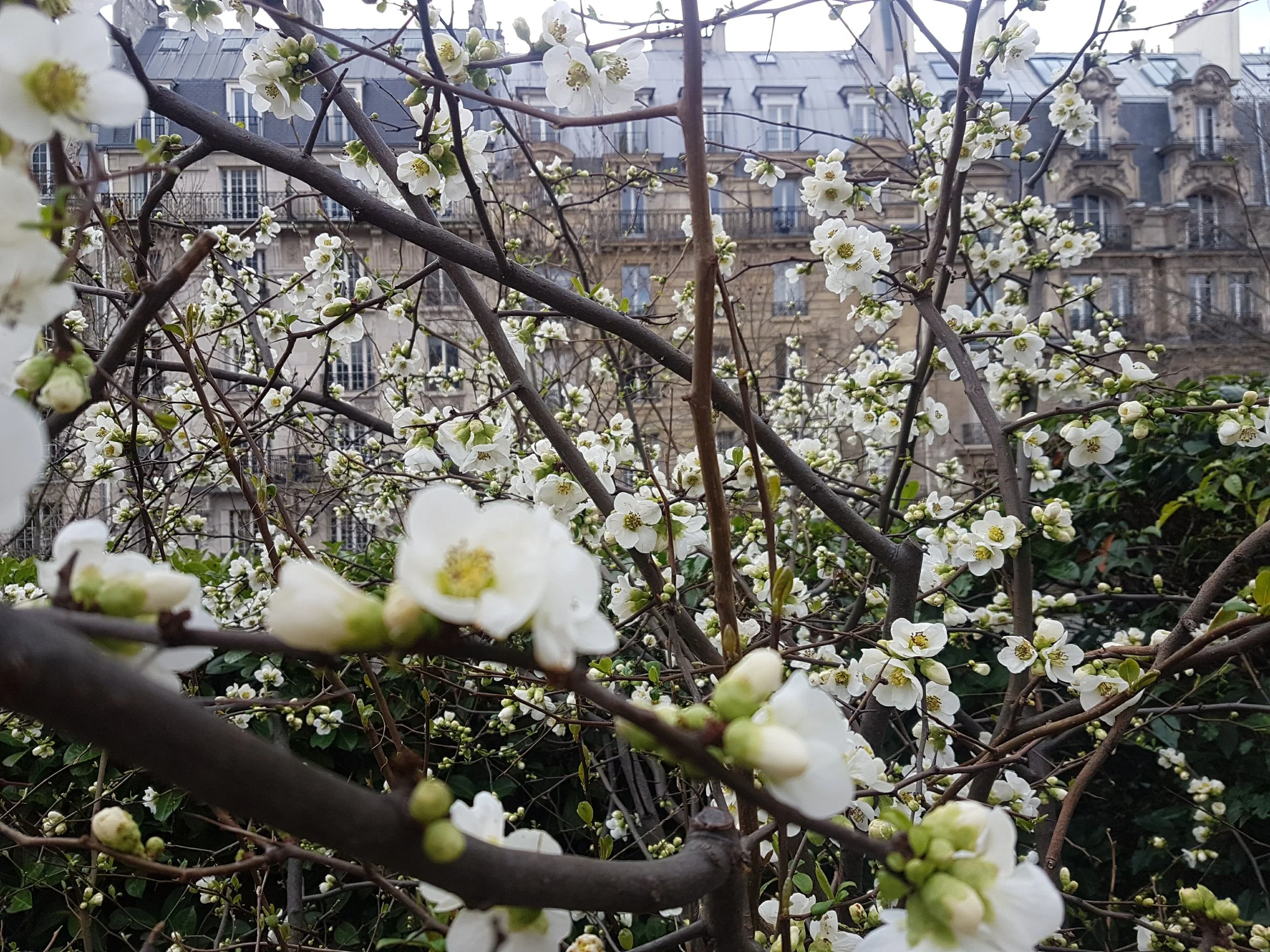20170308_004404.jpg