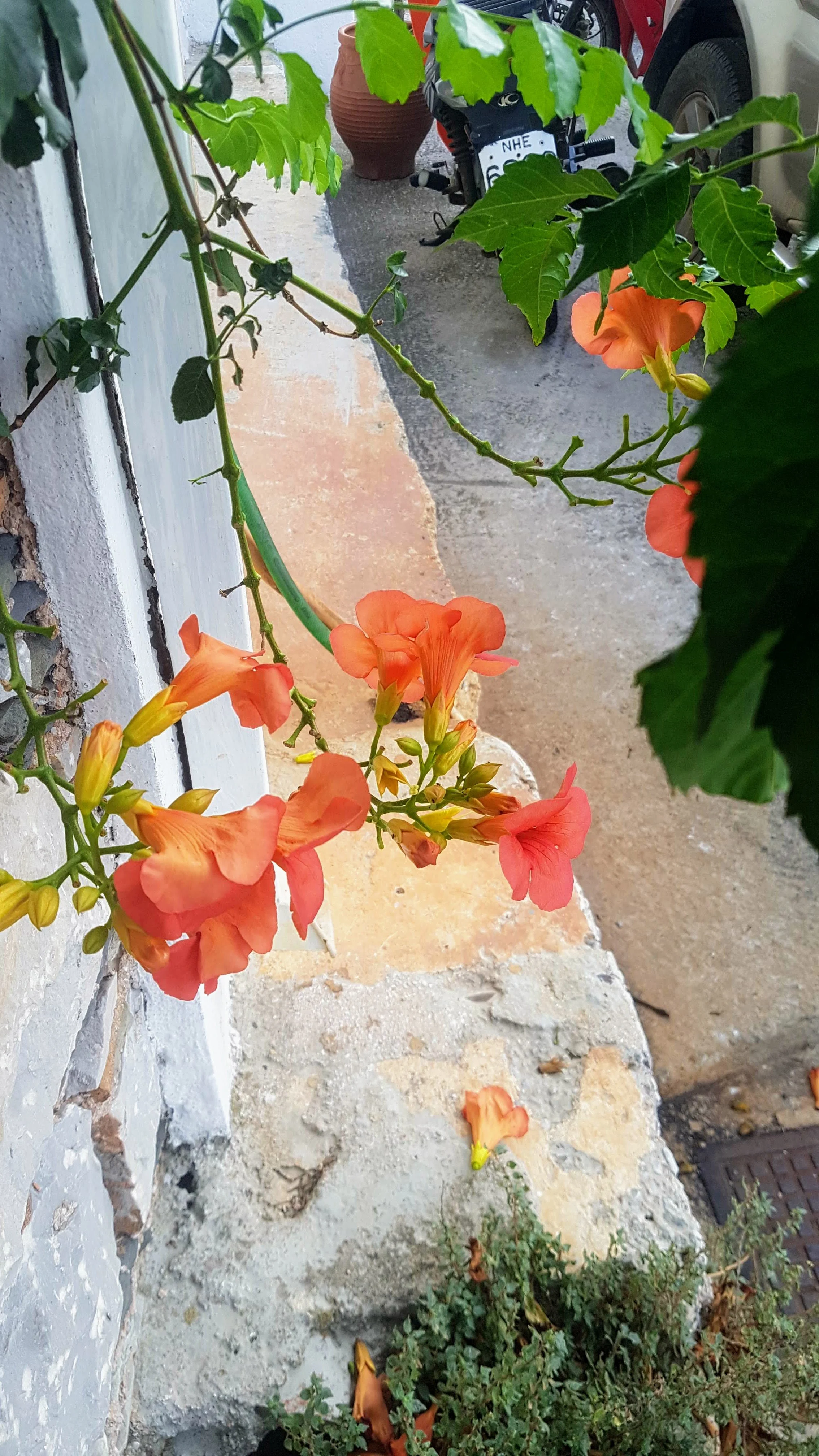 20190907_185705.jpg