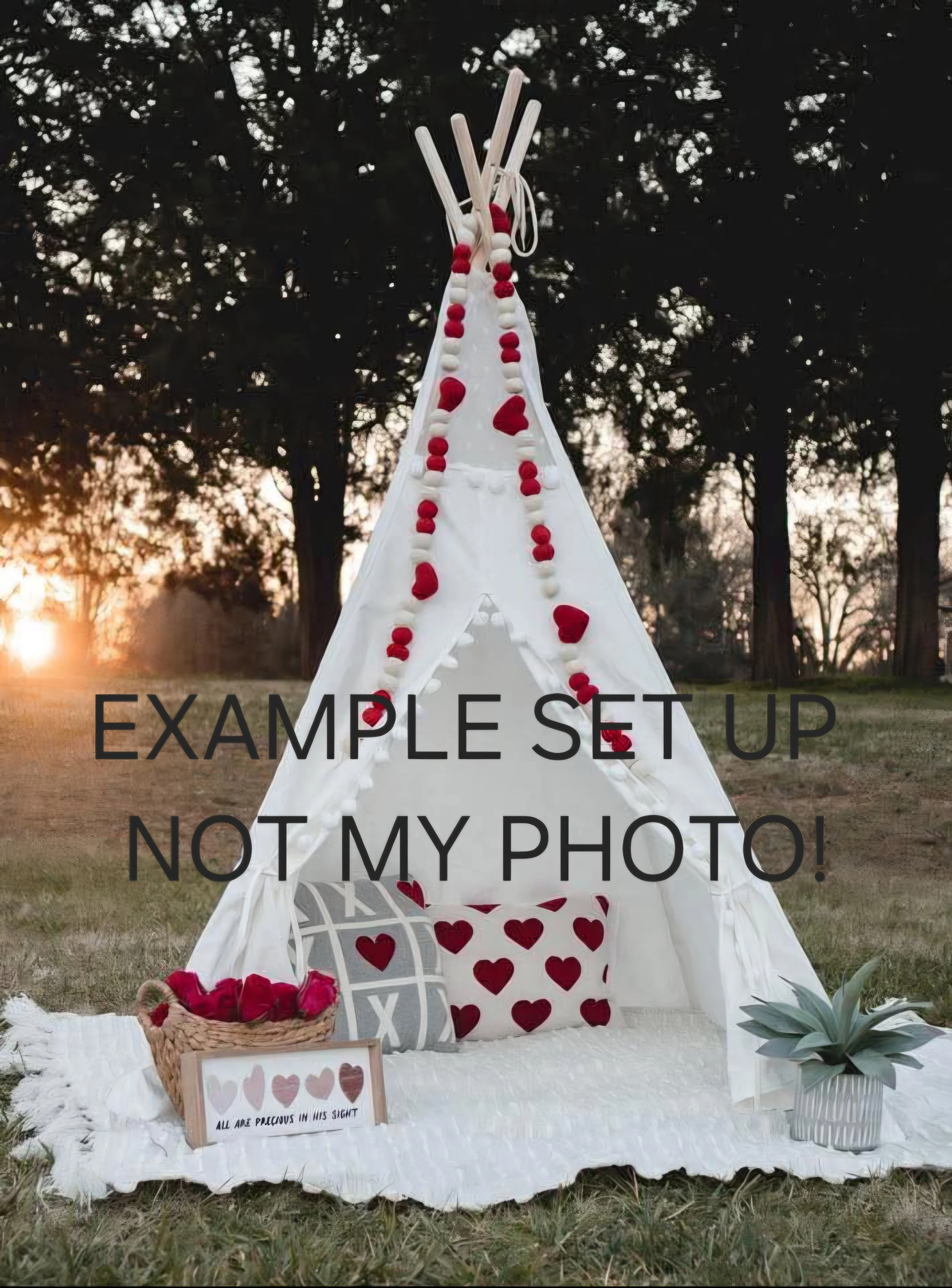 Valentine's Day Mini Photoshoot