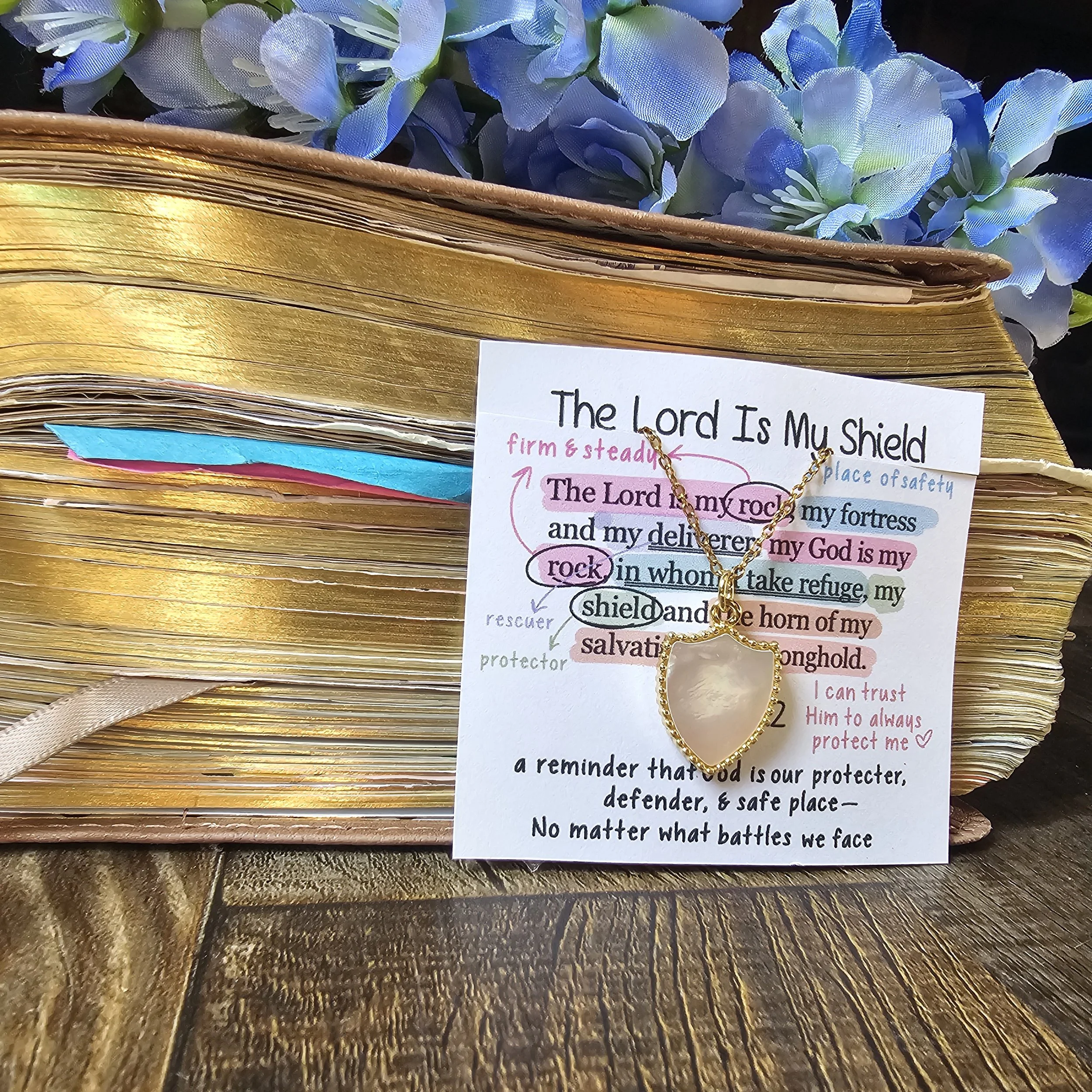 The Lord is My Shield