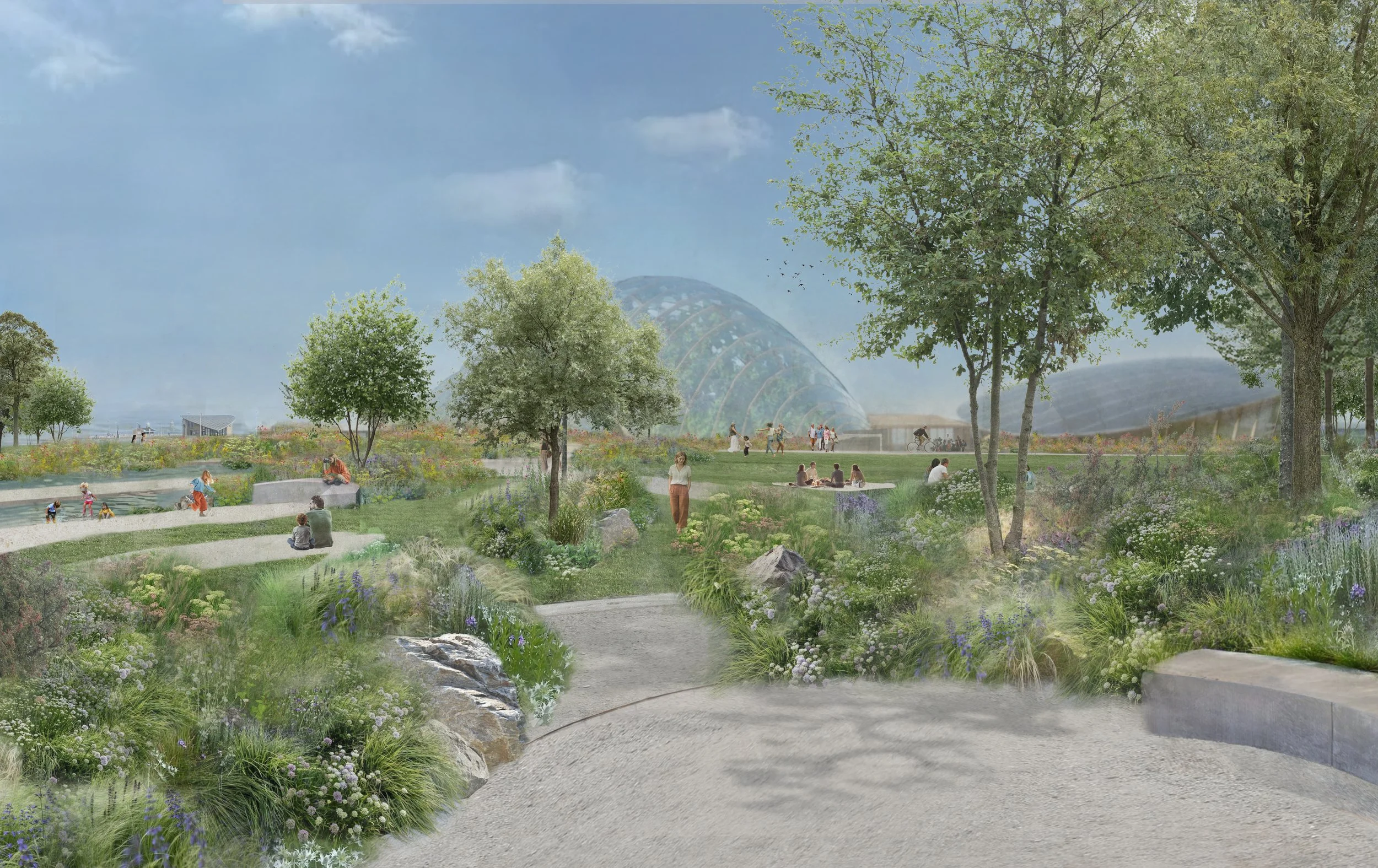 Design visual for Eden Project Morecambe. Client - Harry Holding Studio