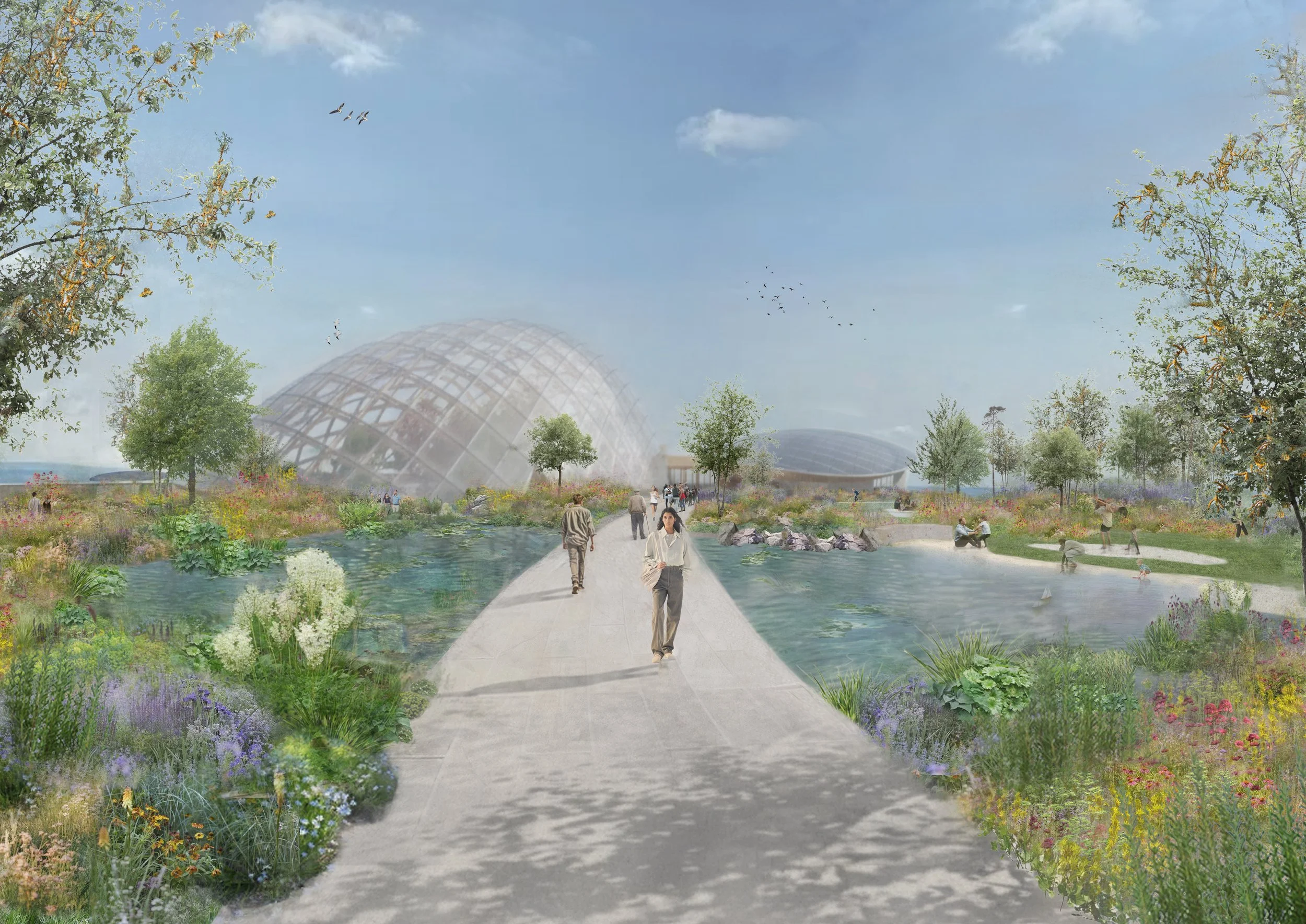 Design visual for Eden Project Morecambe. Client - Harry Holding Studio