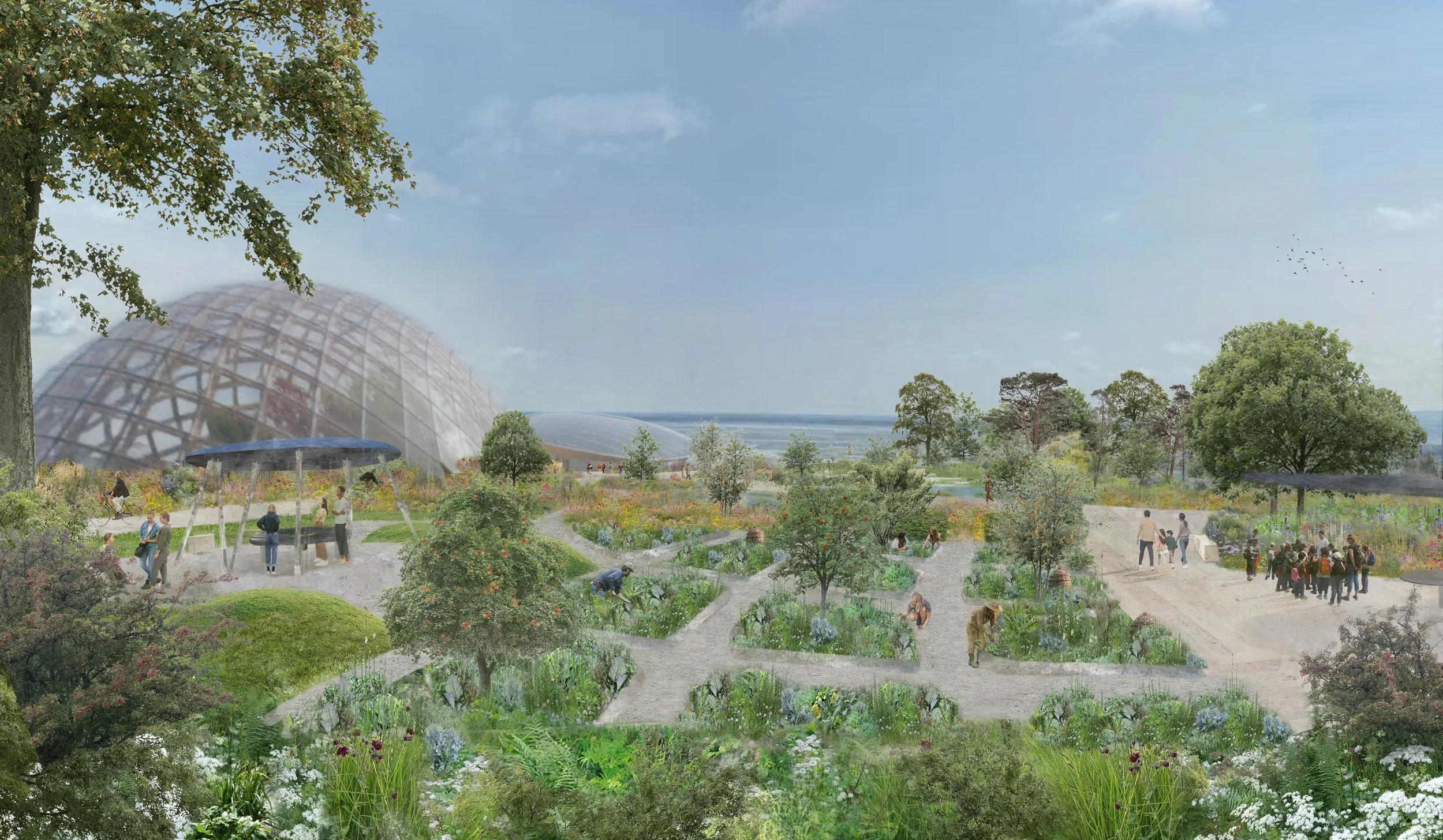 Design visual for Eden Project Morecambe. Client - Harry Holding Studio