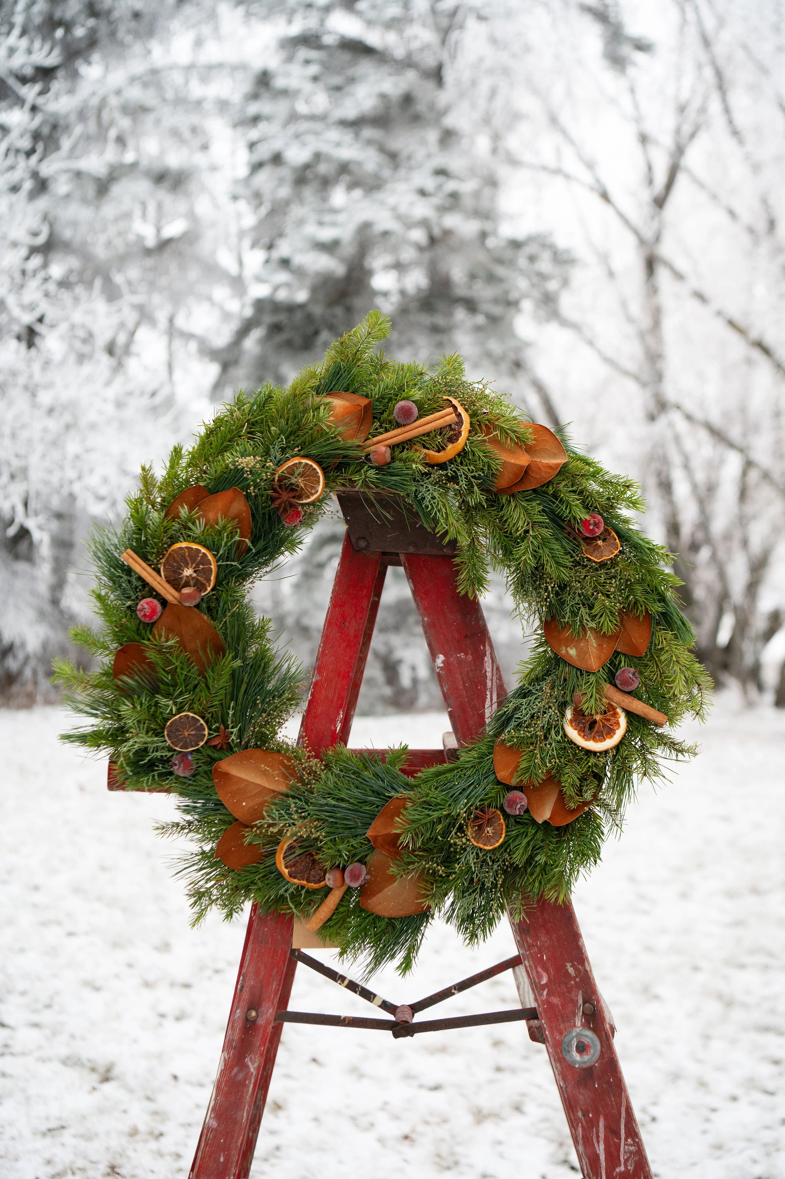 wreaths2025_95_.jpeg