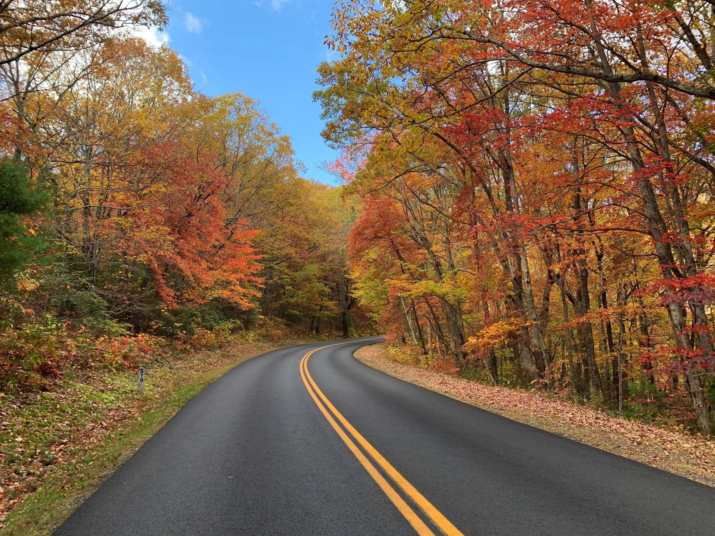A winding road through a forest in North Carolina with autumn foliage in shades of red, orange, and yellow under a clear blue sky.