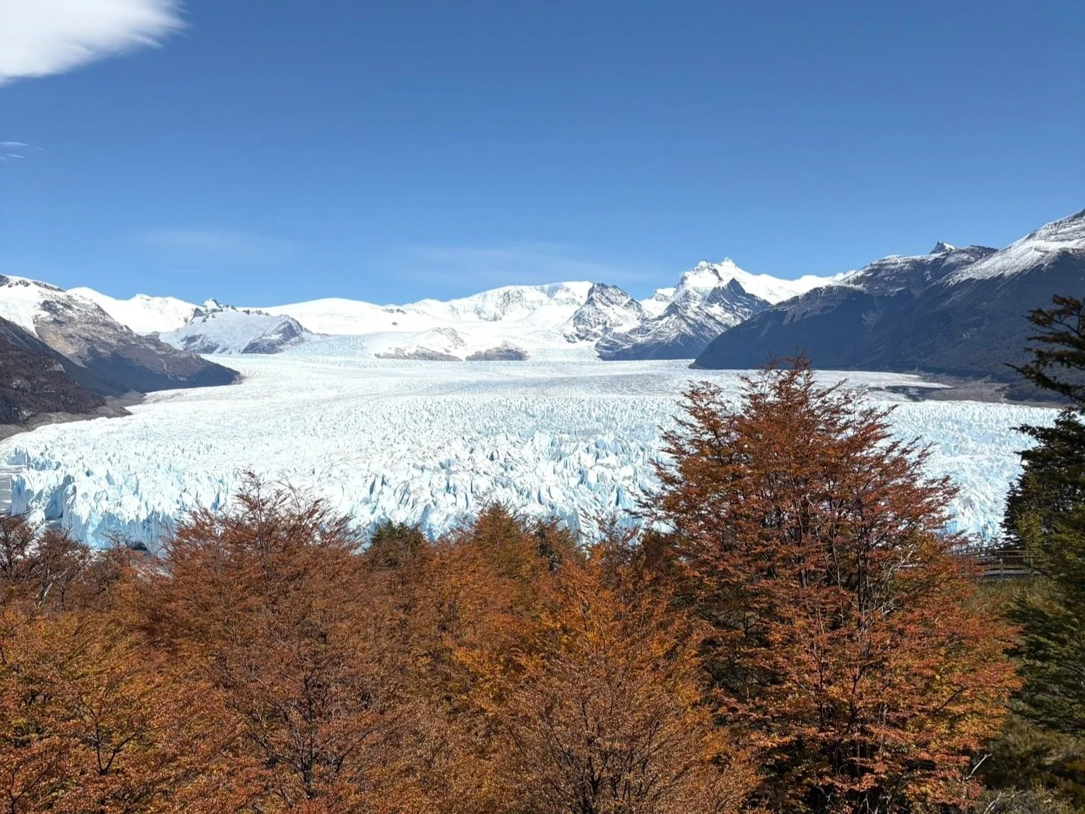 A unique panoramic view of the Perito Moreno Glacier in Argentina with snow-capped mountains in the background and autumn-colored trees in the foreground.