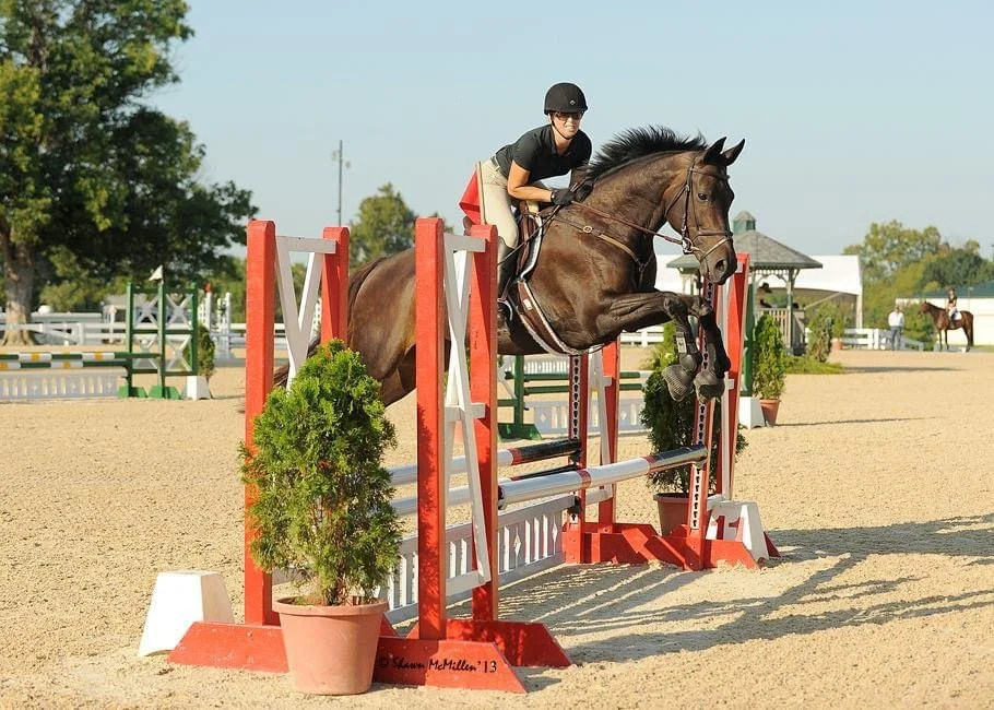 horses and humans3.JPG