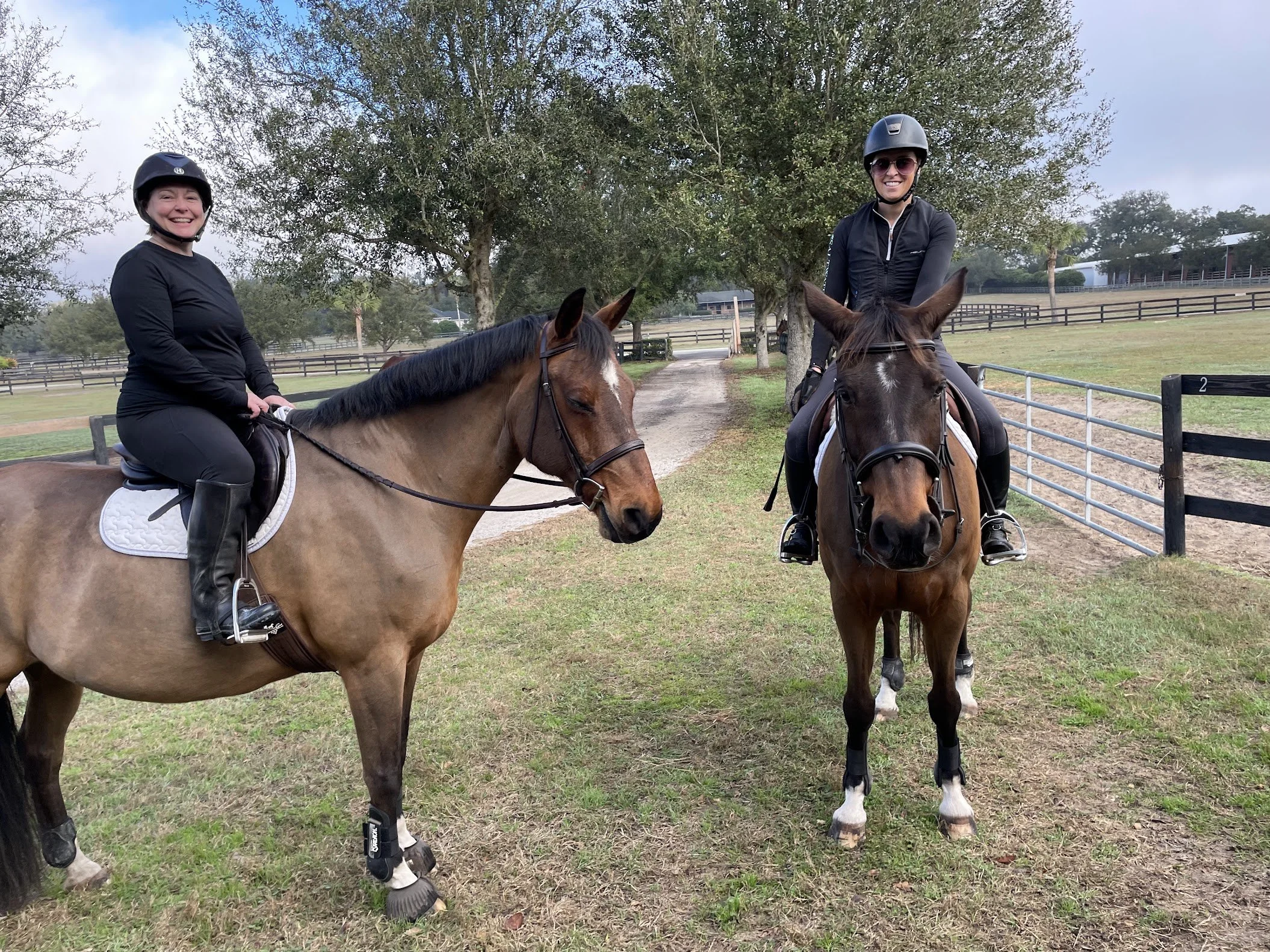 hoses and humans.jpg