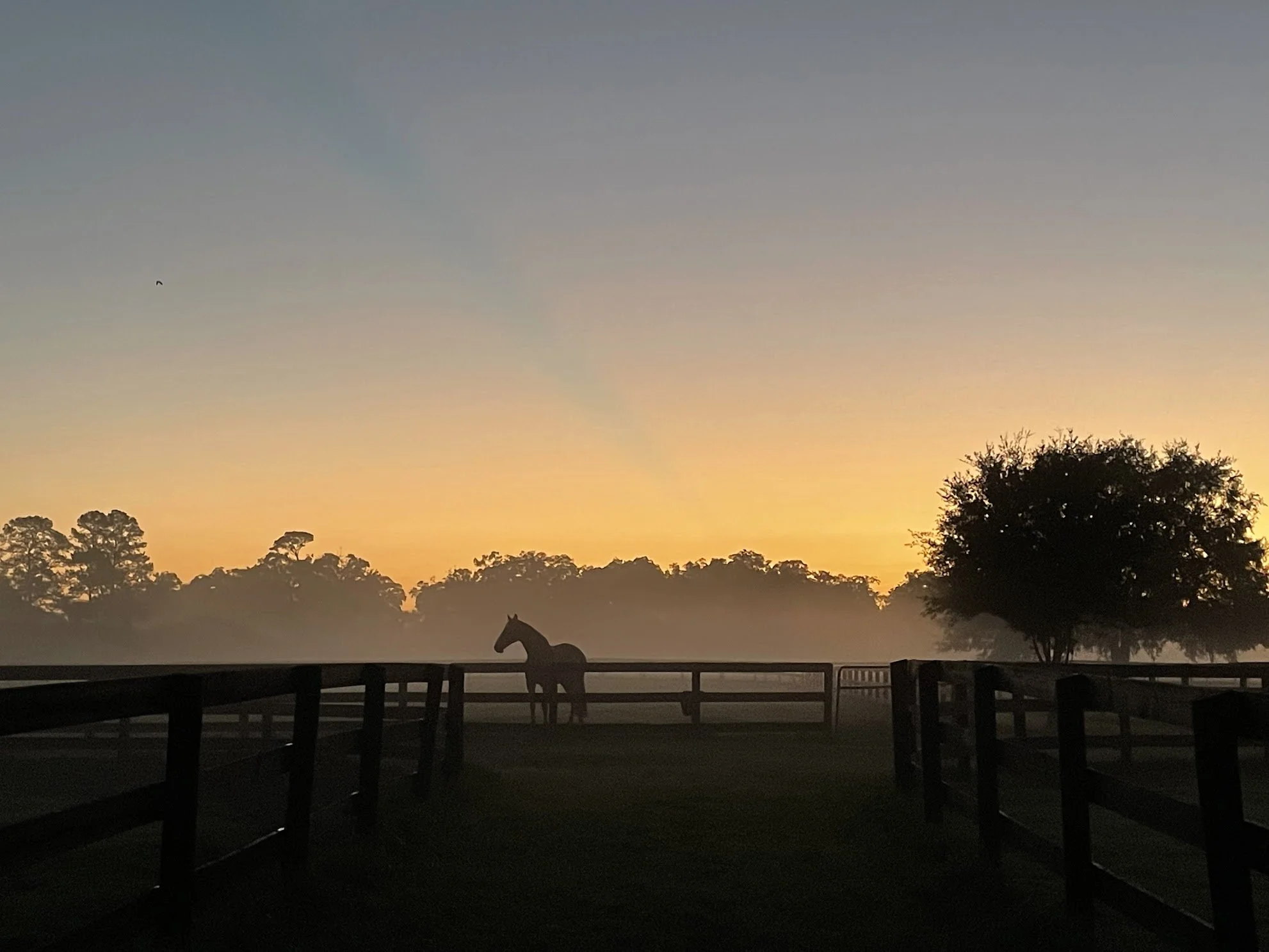 CCS early morning.jpg