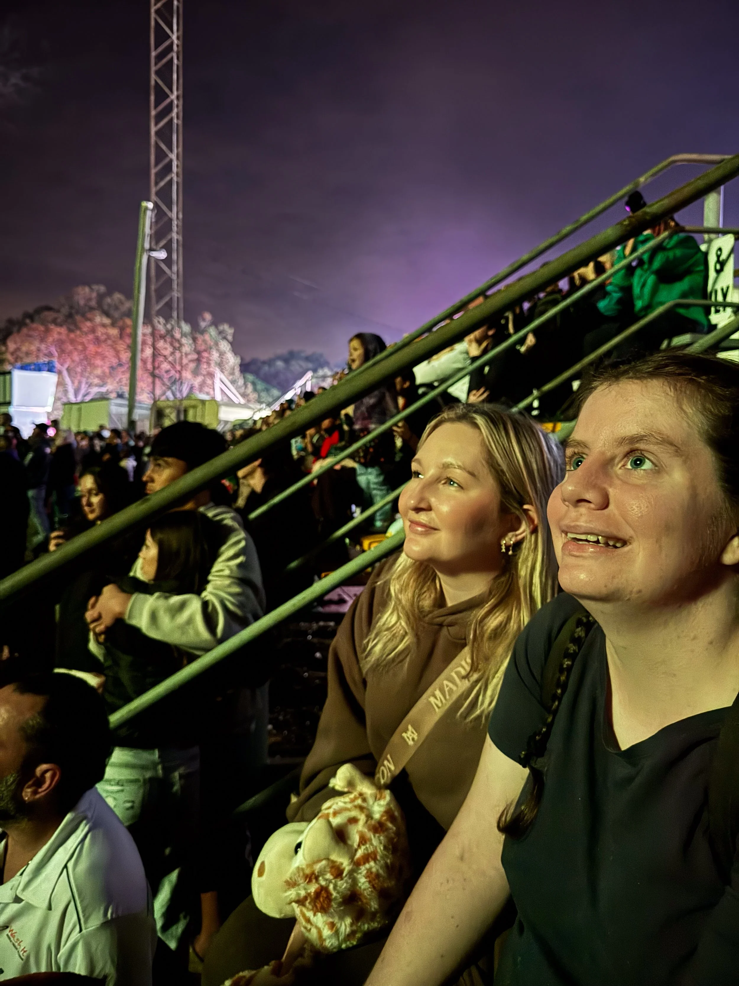 People sitting on stadium bleachers at night with trees and a Ferris wheel illuminated in the background.