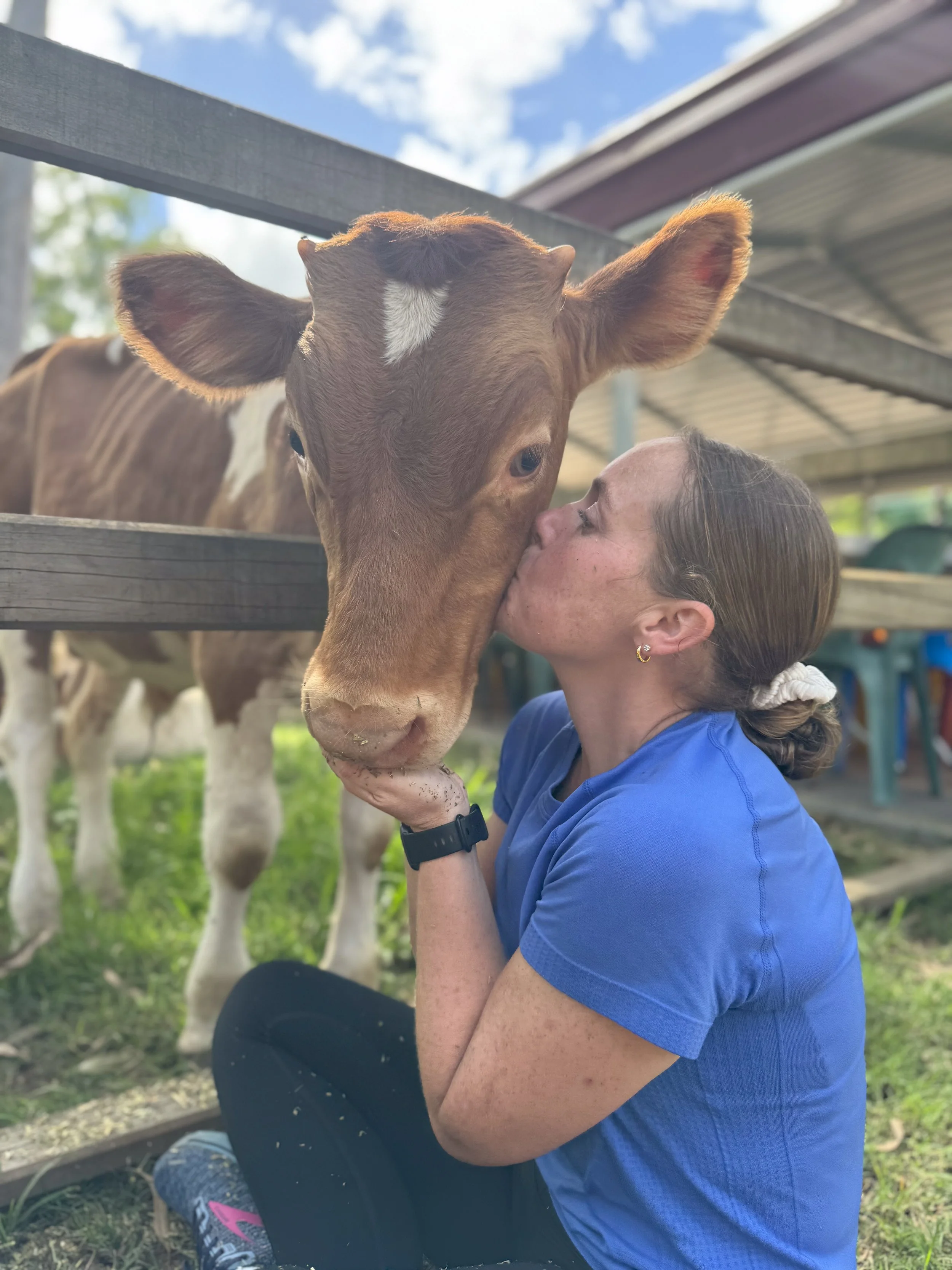 A woman in a blue shirt is hugging and kissing a brown cow with a white star on its forehead, standing near a wooden fence in a farm setting outdoors.