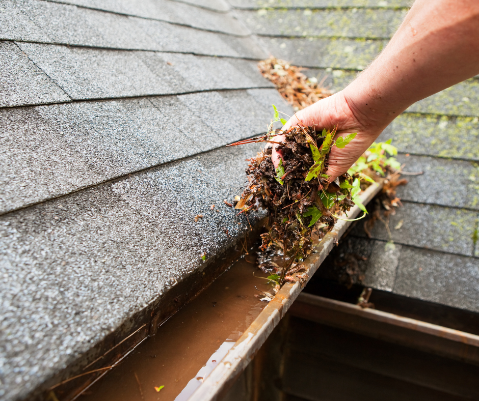 Spring Home Maintenance Tips to Protect Your Home’s Paint, Surfaces, and Curb Appeal