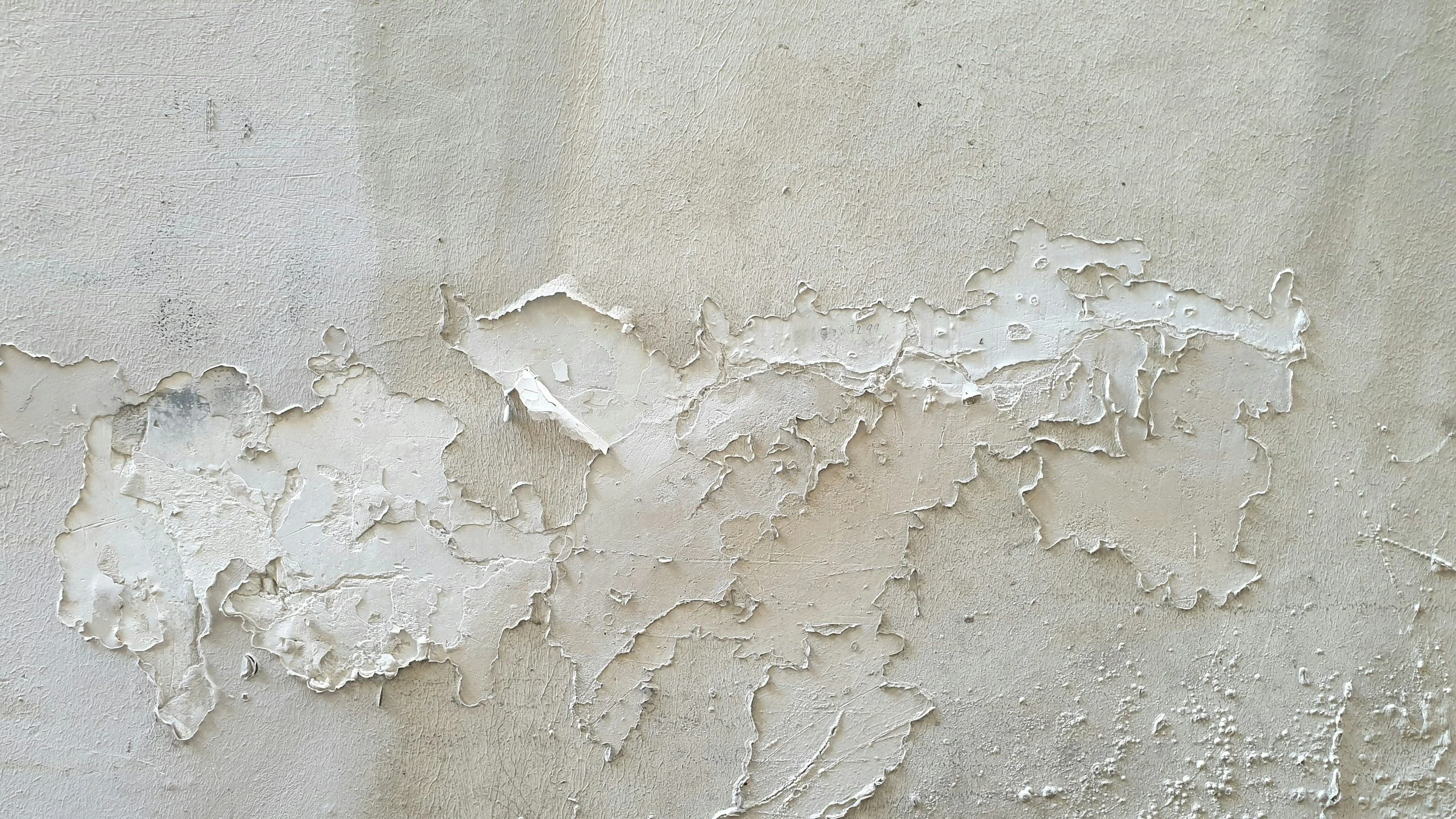 Why Chicago Humidity Wrecks Exterior Paint Jobs (And How to Stop It)