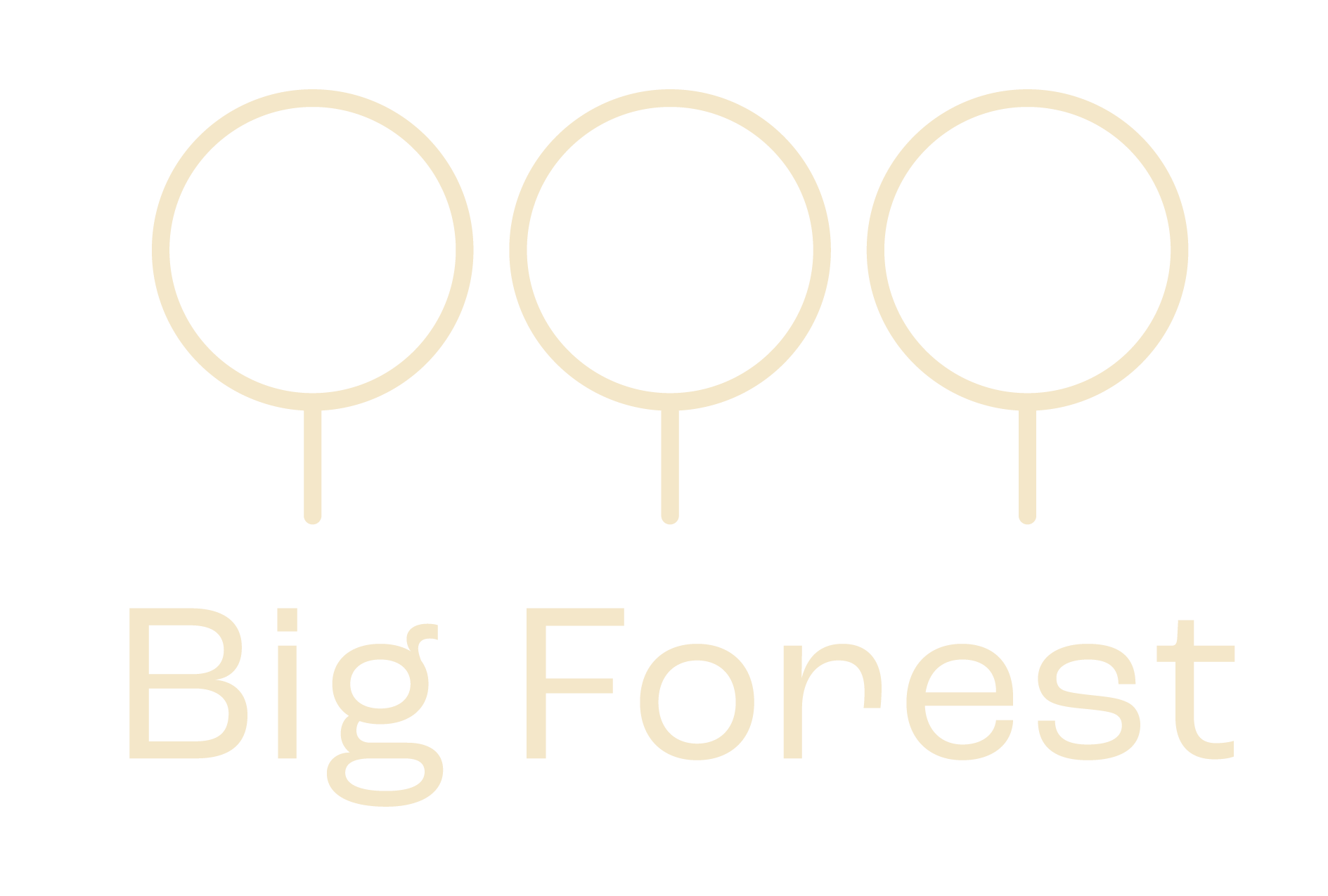 Logo with three stylized trees above the words "Big Forest" on a black background.