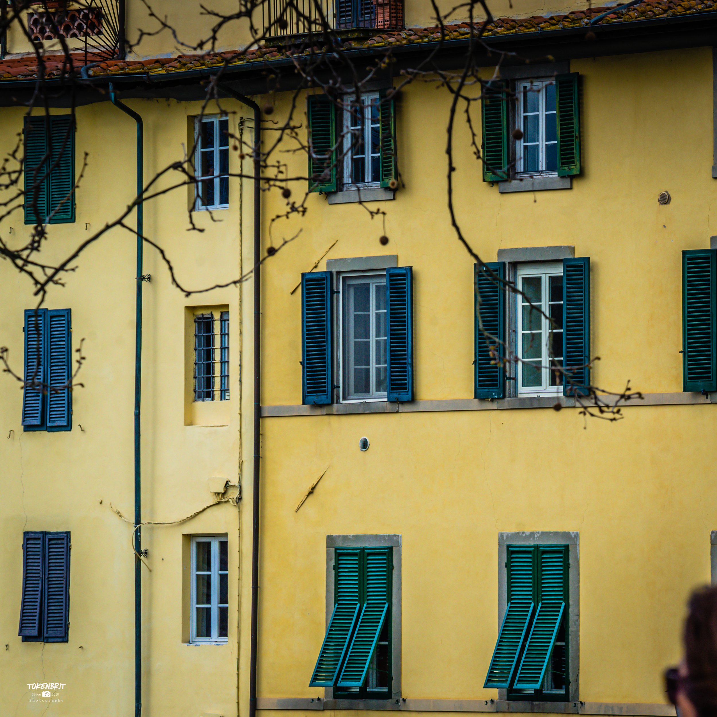 1b - Lucca, Italy Apr 2016 LR-3942.jpg