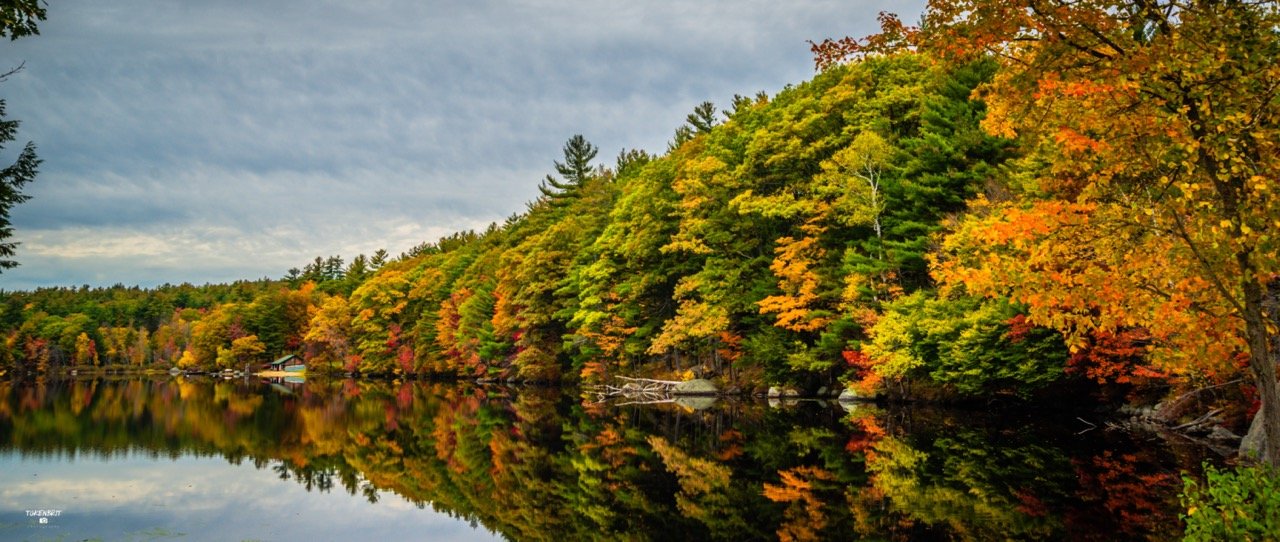 57 - Wediko Lake New Hampshire Oct 2014 LR-1771 Large.jpeg