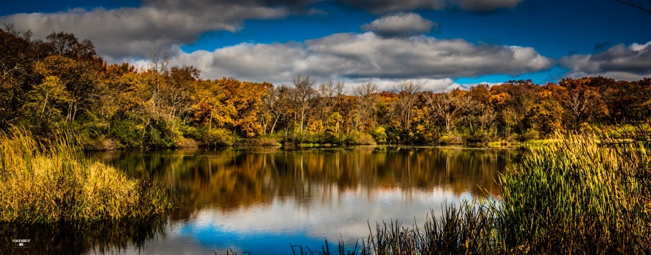 56 - Deer Park Palatine IL Oct '20 LR-4954 Large.jpeg