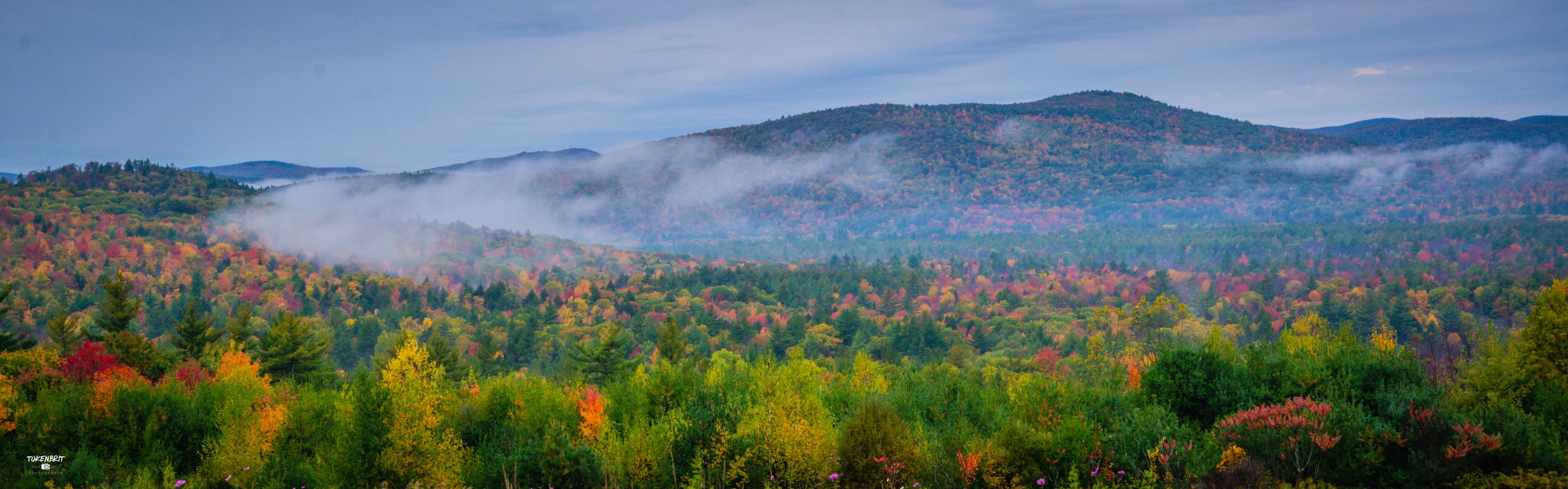 Pawtuckaway State Park NH - 1756