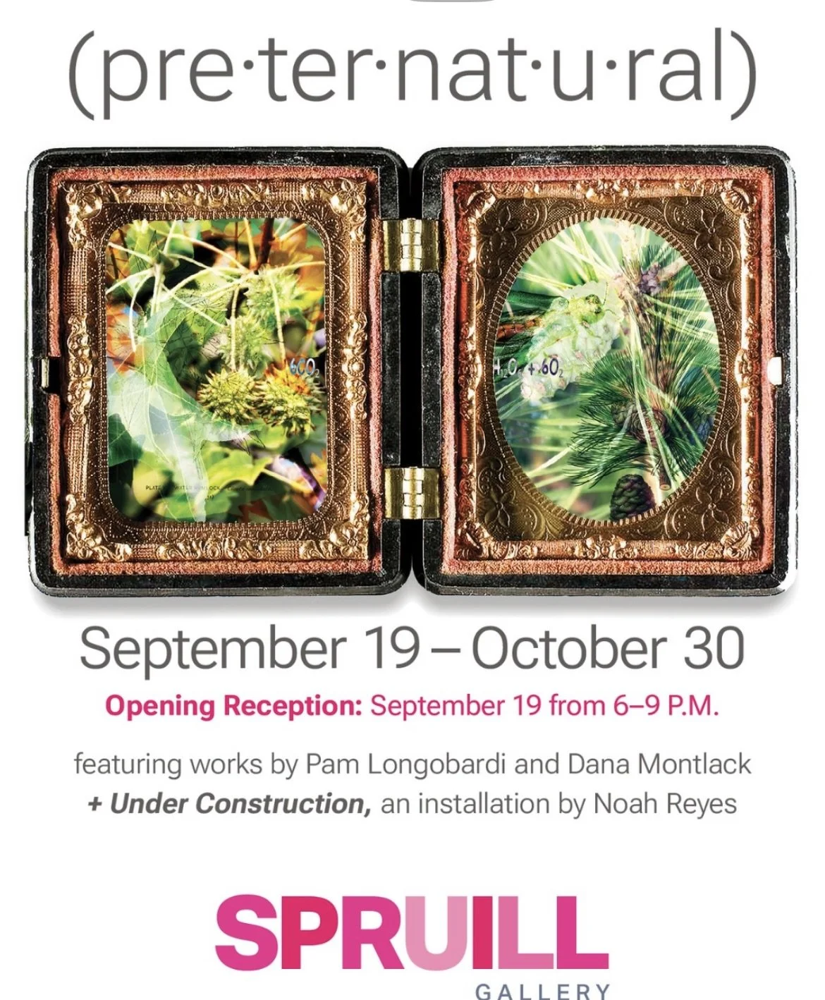 Exhibition Opening: (pre-ter-nat-u-ral)