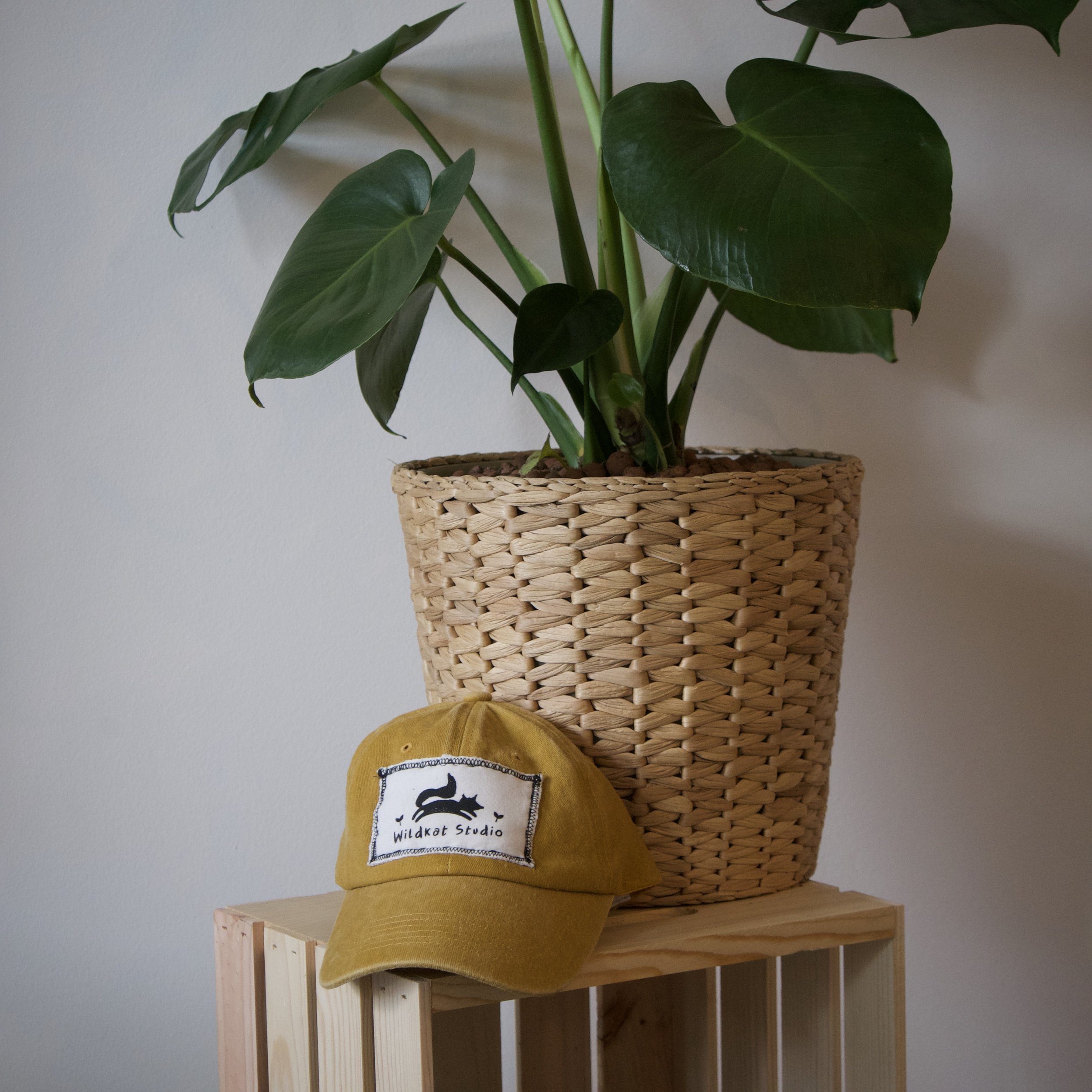 Wildkat Studio Hat