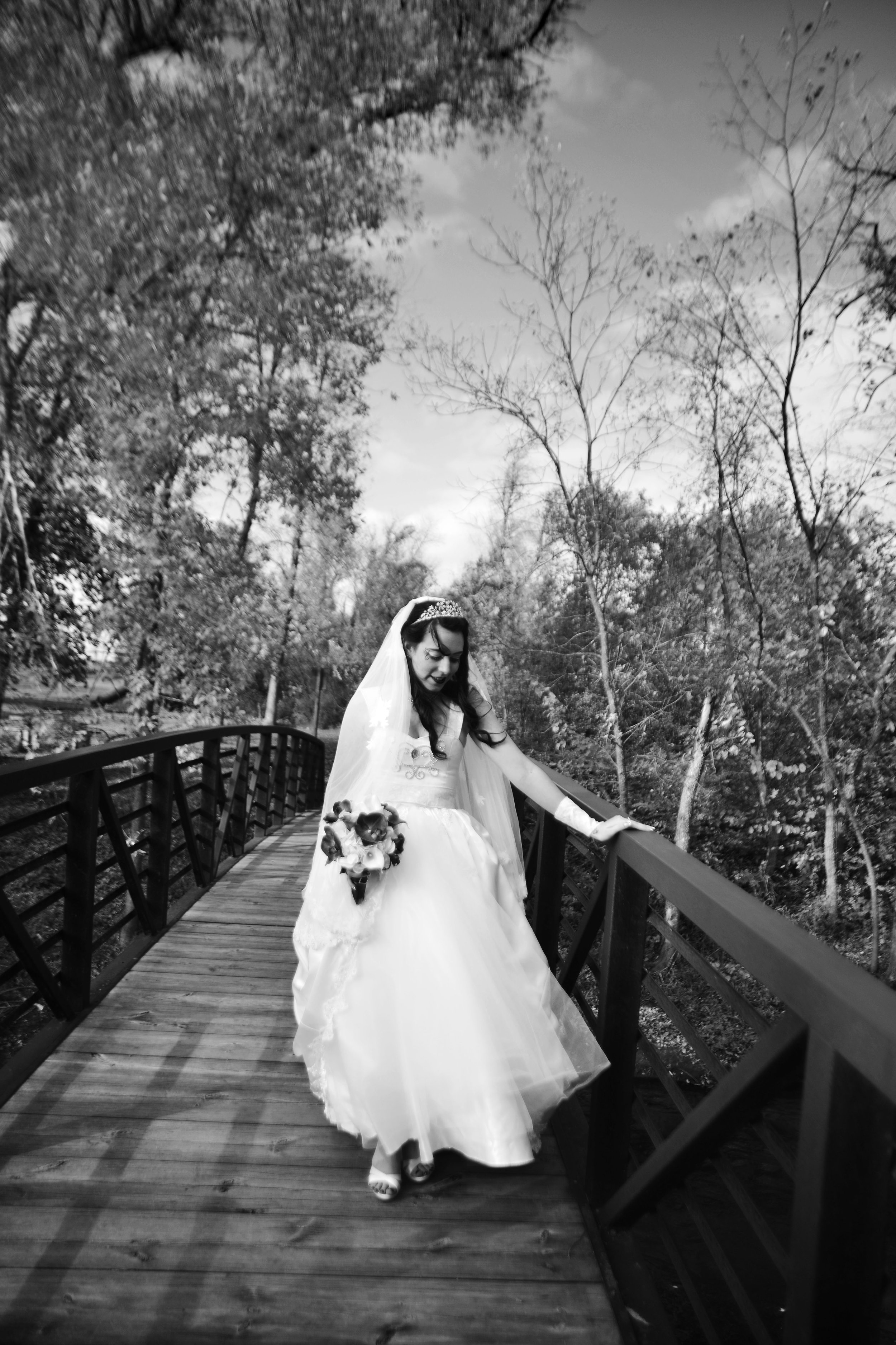 DSC_0462bw.jpg
