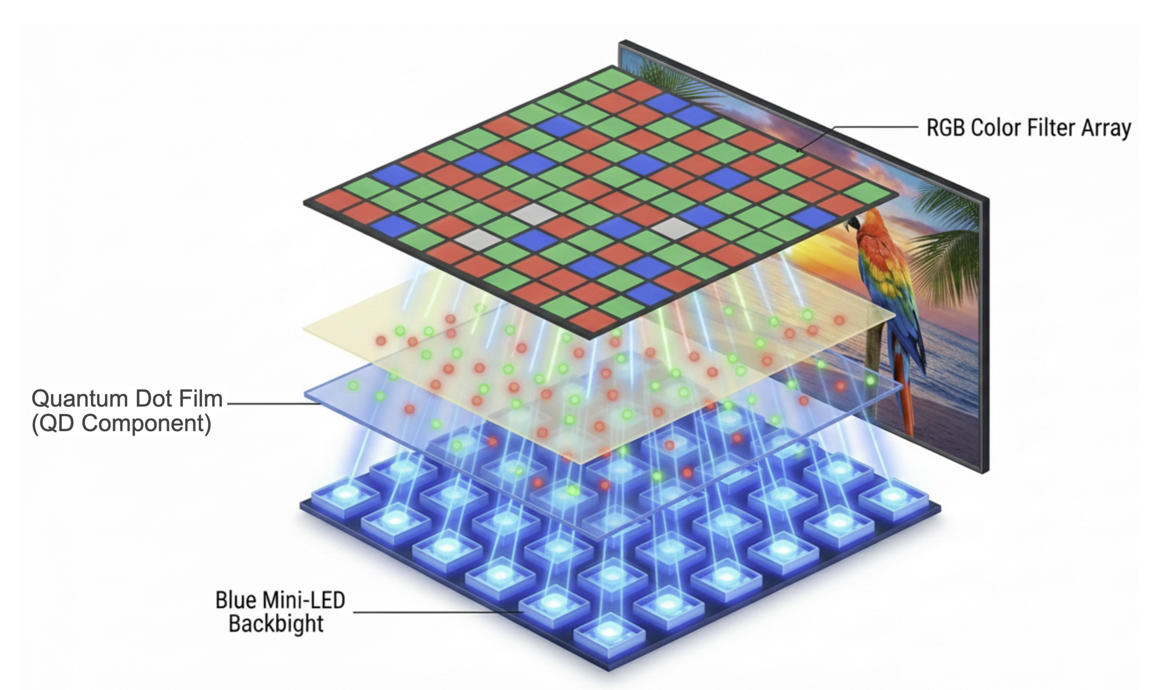 Exploded diagram of Quantum Dot LCD showing Blue MiniLEDs, Quantum Dot film and RGB color filter array