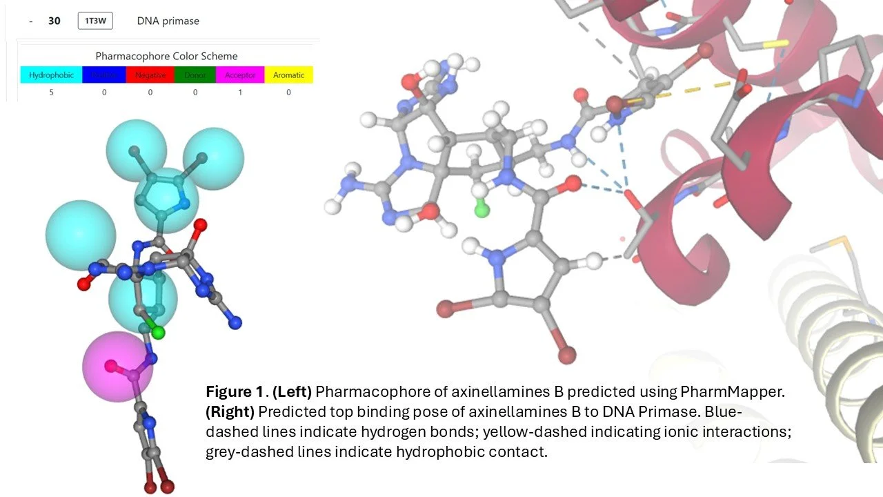 Abstract Submission Pacificchem Image .jpg