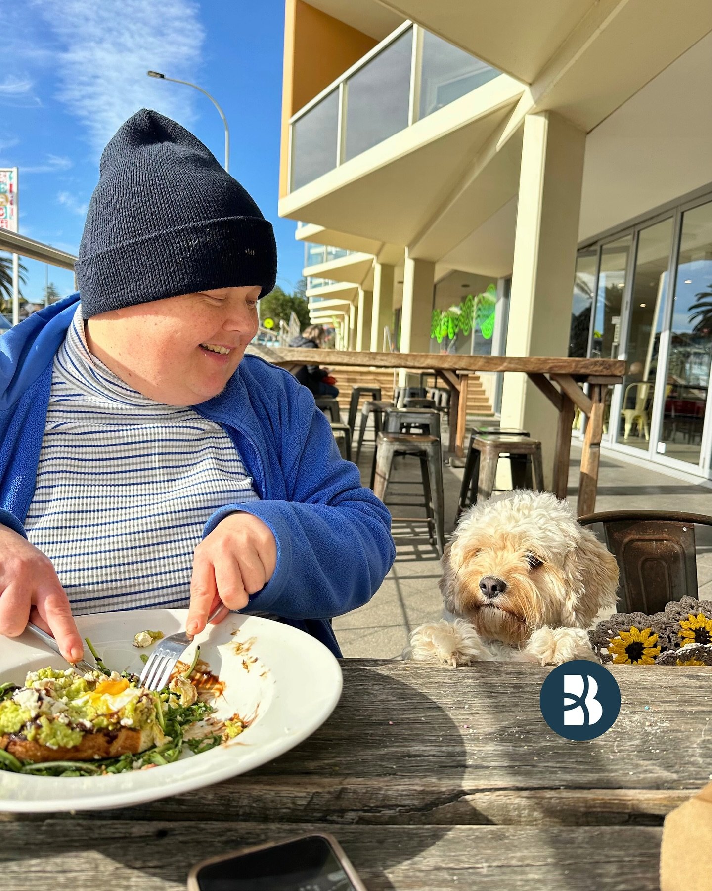 Slow mornings, sunshine, and Sophie keeping a close eye on the smashed avo 🐶🥑🤣

These are the kinds of weekends we love. The ones where you don&rsquo;t need big plans or a full itinerary &mdash; just time to enjoy the small things and be where you