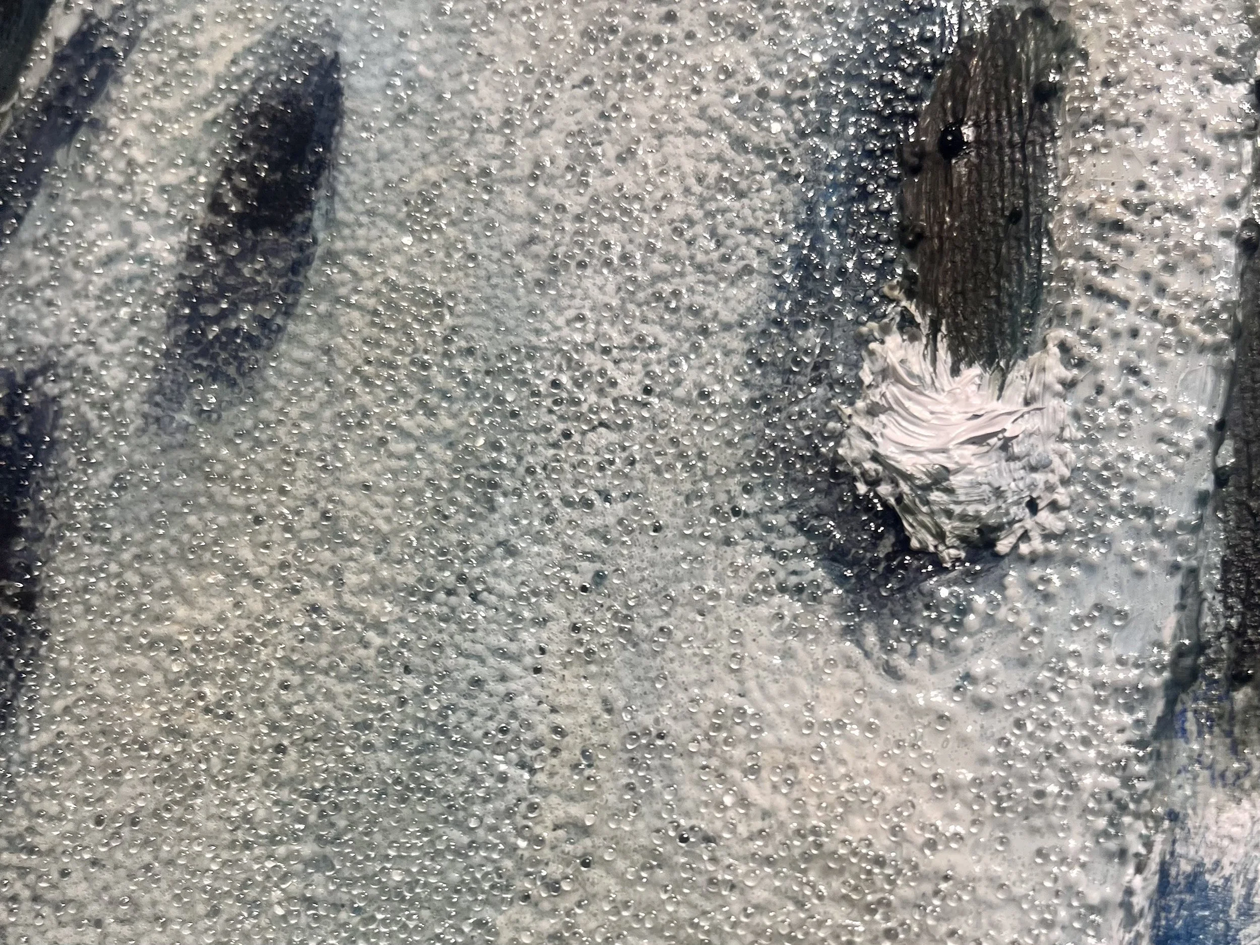 Winter's Wraith, 2026. Detail image