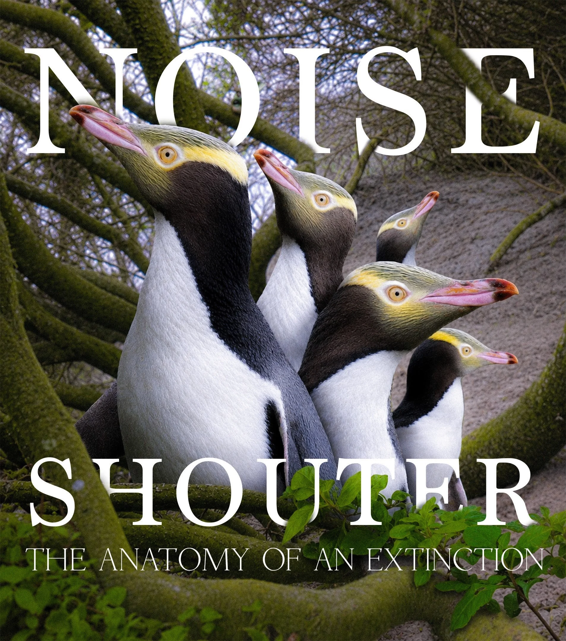 NOISE SHOUTER - coming soon.

two years of work and over 800 hours of camera trap footage