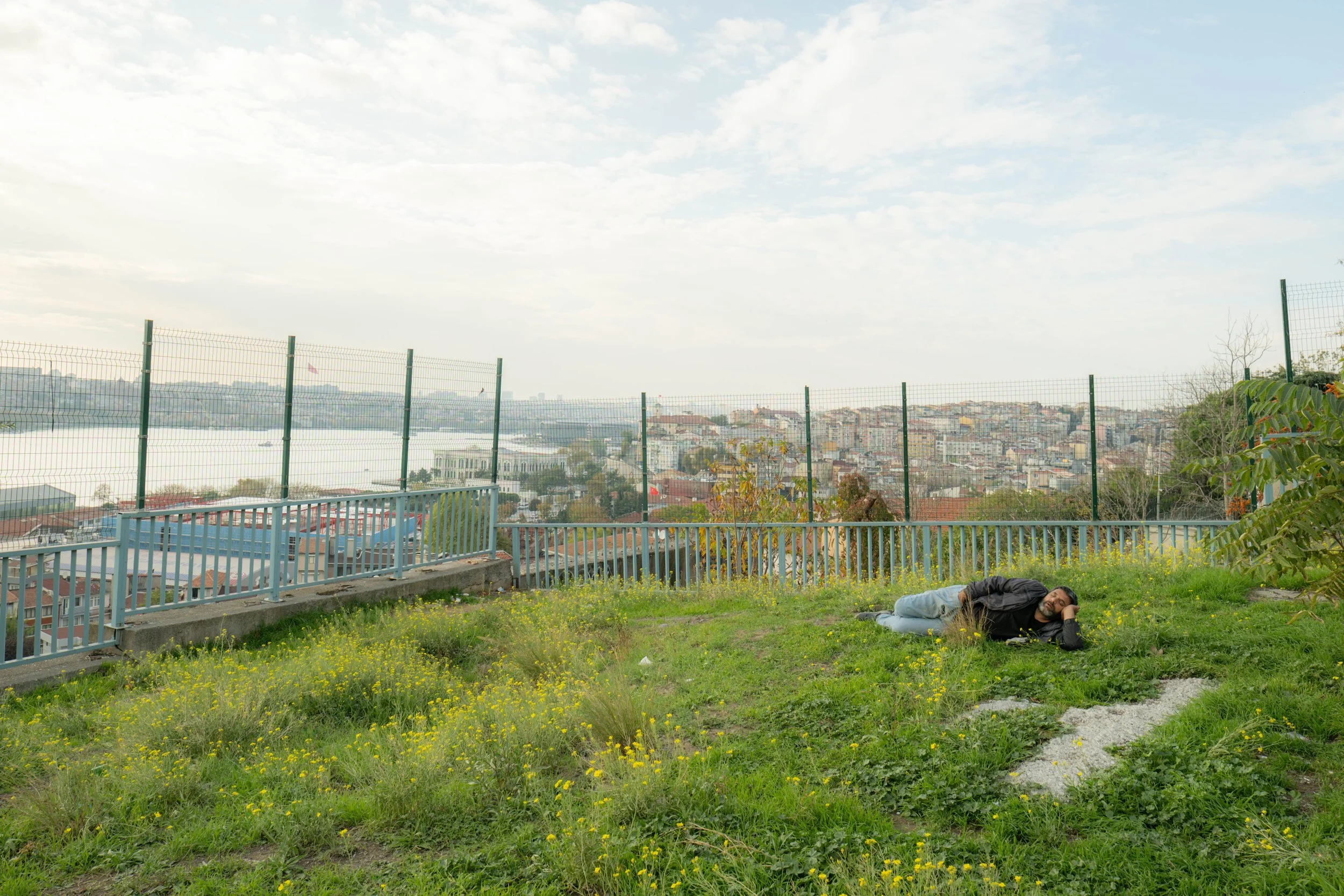 P1151457.jpg