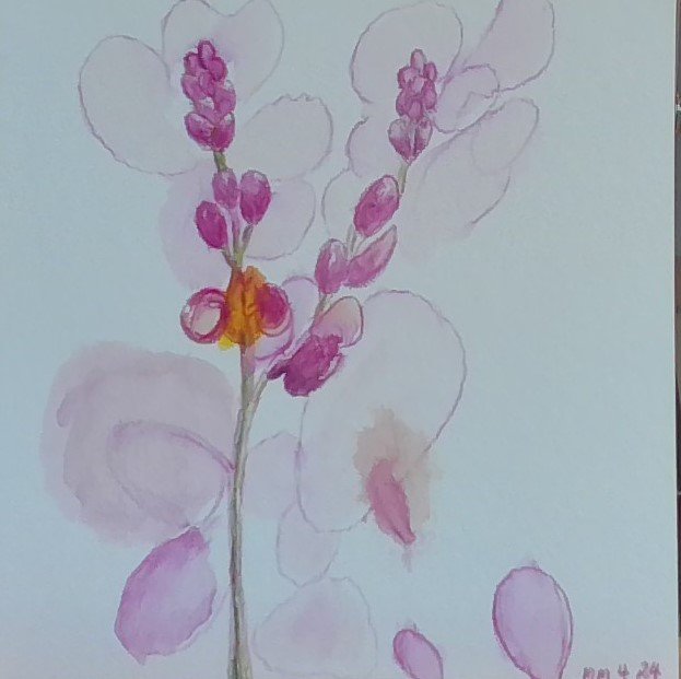 Gentle bloom