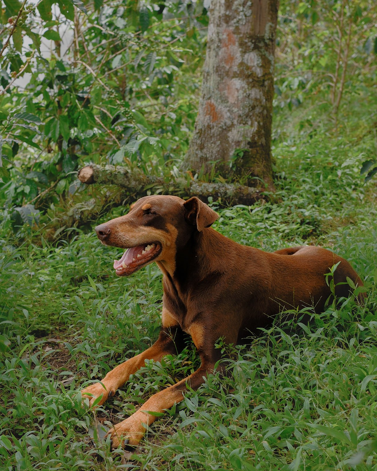 fincauno-10_websize.jpg