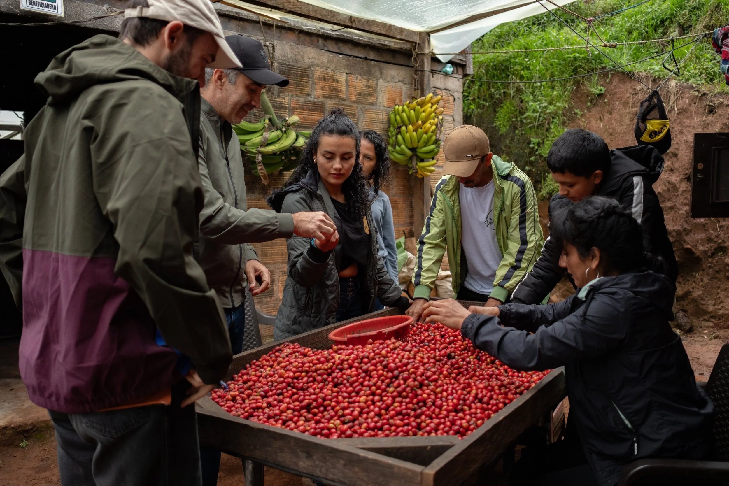 laventola-huila-28.jpg