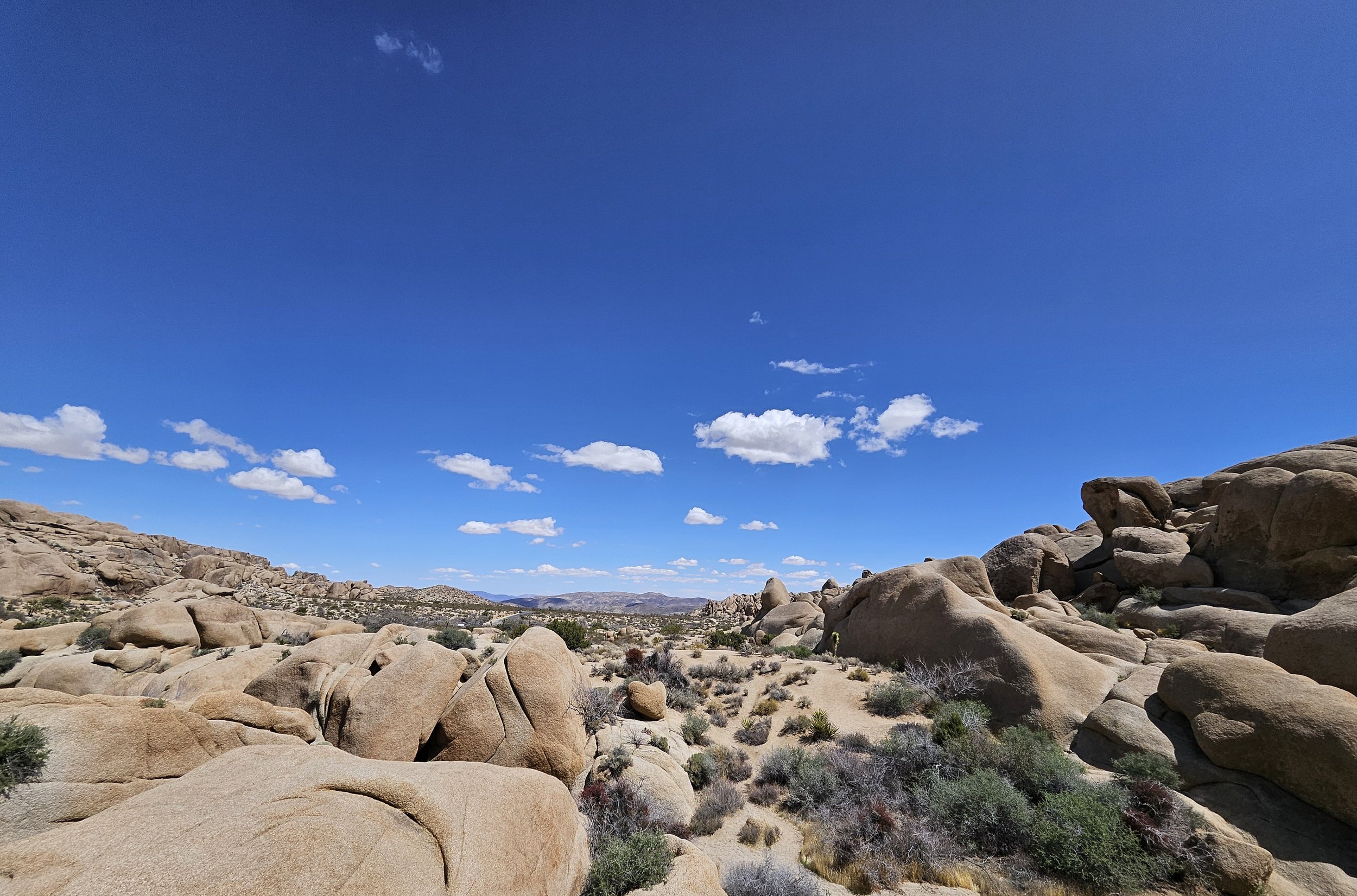 JT Nat Park near Skull Rock