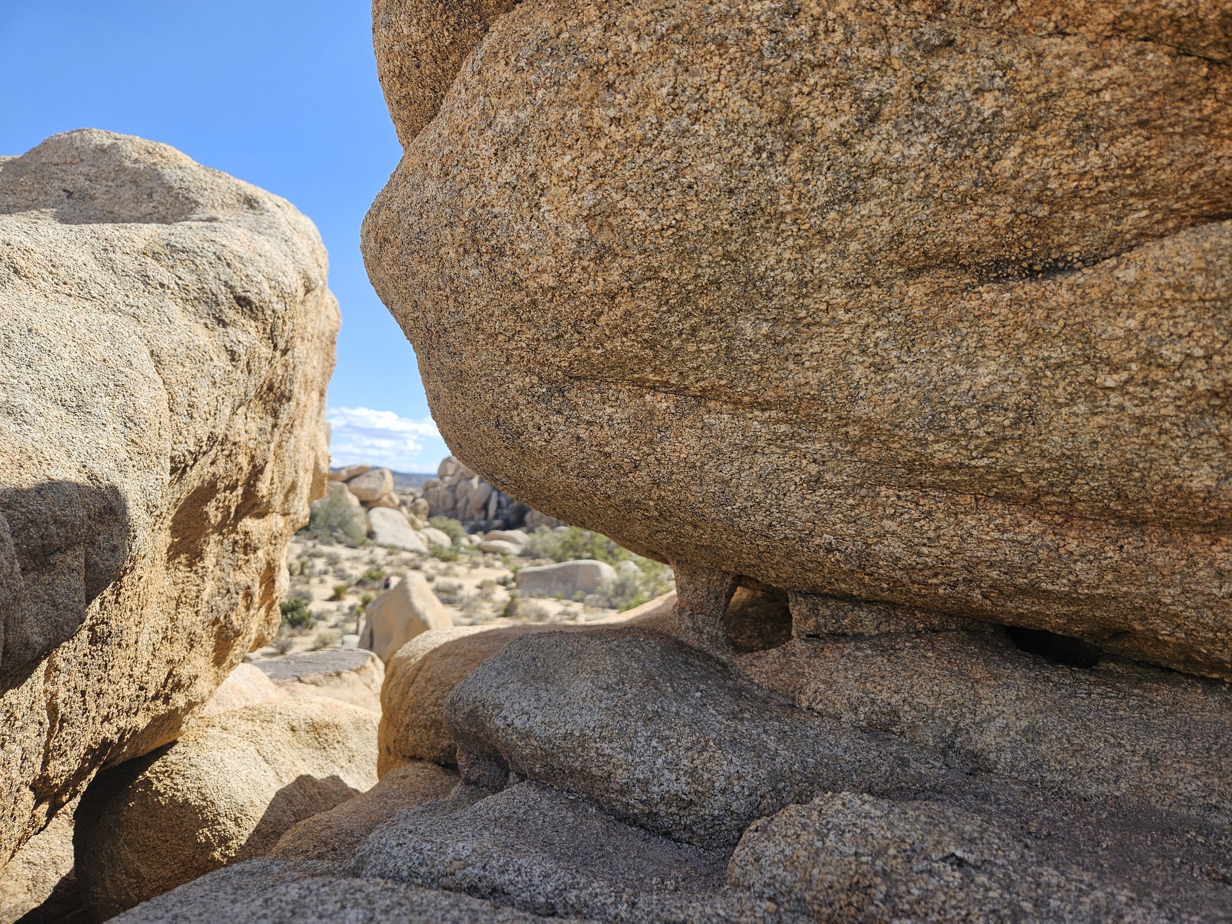 JTNP @ Hidden Valley