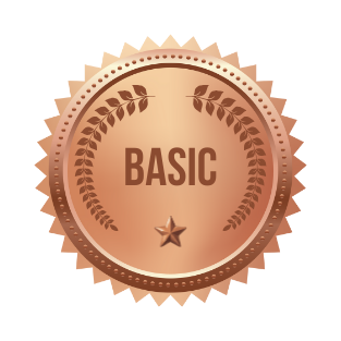 A circular, bronze-colored badge with the word 'BASIC' in the center, decorated with leafy patterns and a small star at the bottom.
