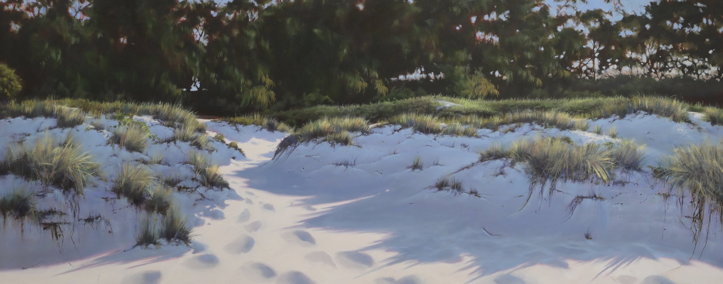 Cool Shadows