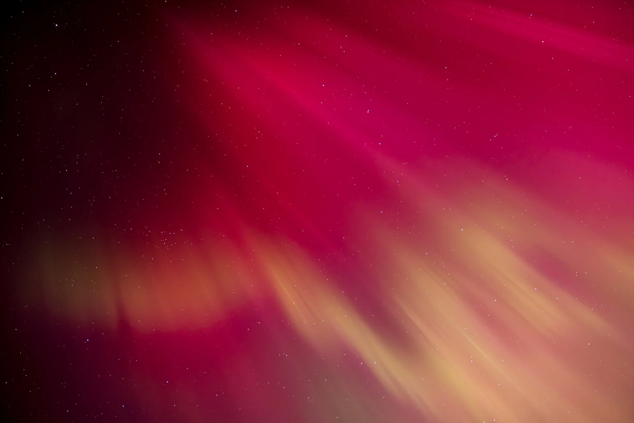 EN8A1723-Enhanced-NR - Copy.jpg