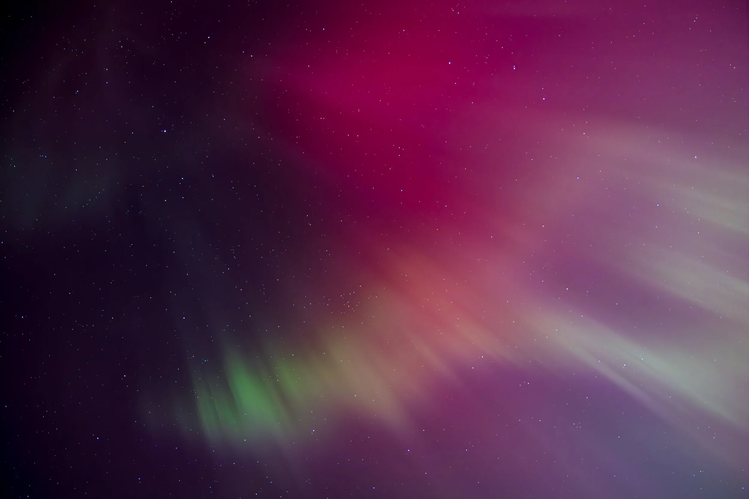 EN8A1725-Enhanced-NR - Copy.jpg