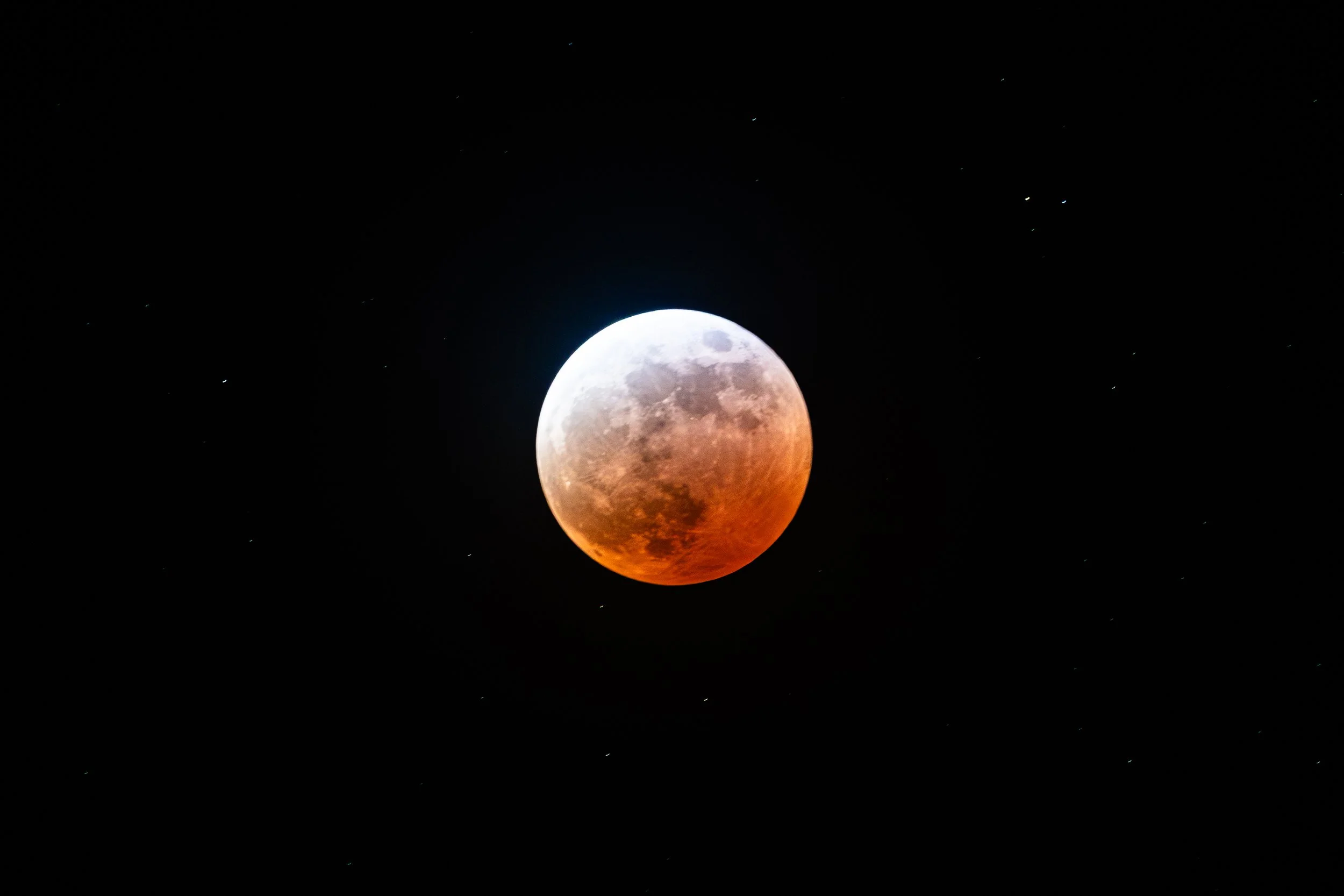 EN8A4981-Enhanced-NR.jpg