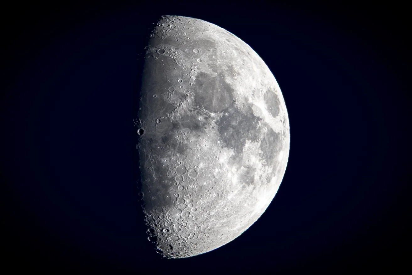 EN8A3154.jpg