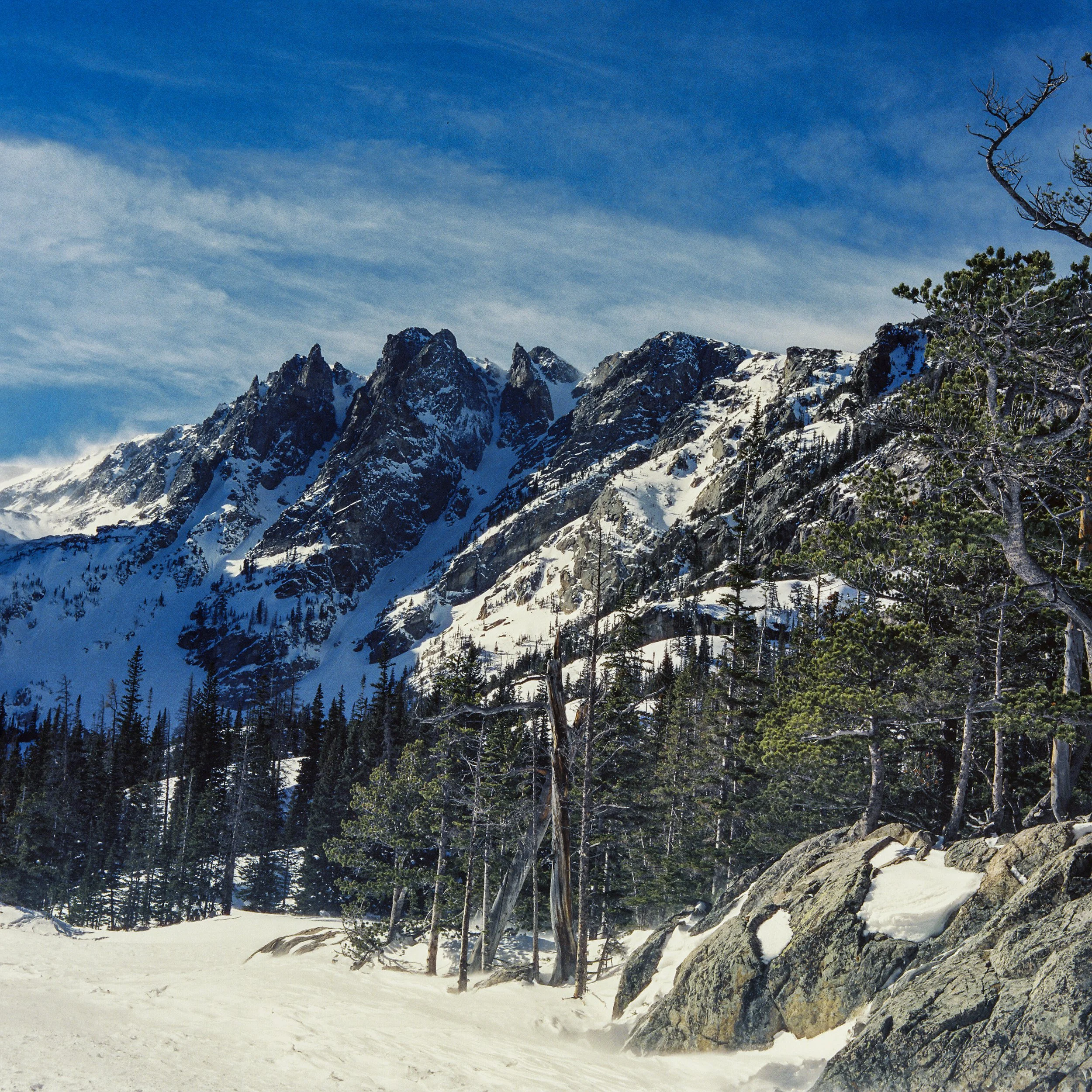 Gonzalez001556-R1-E008-2.jpg