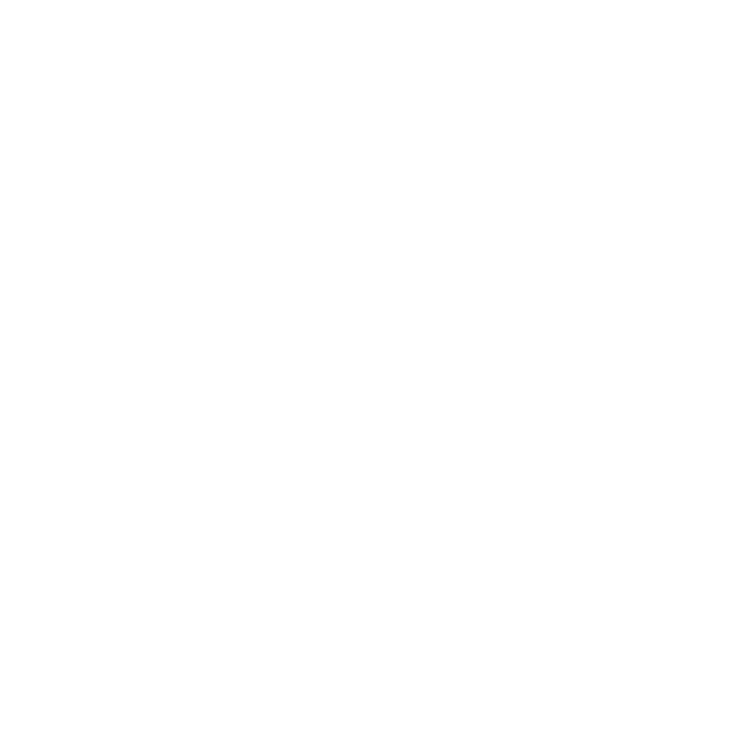 Icon Nique