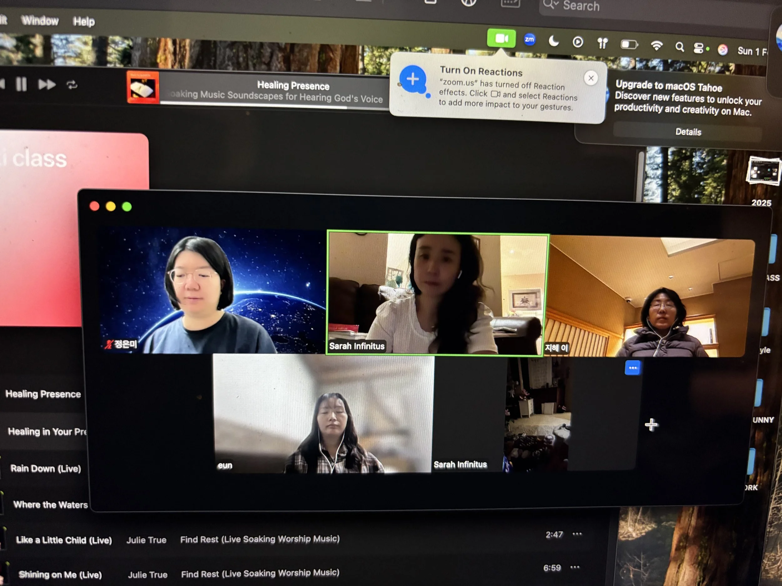 Screenshot of a Zoom video call with multiple participants, with a pop-up notification about turning on reactions, and a background image of a forest with tall trees.
