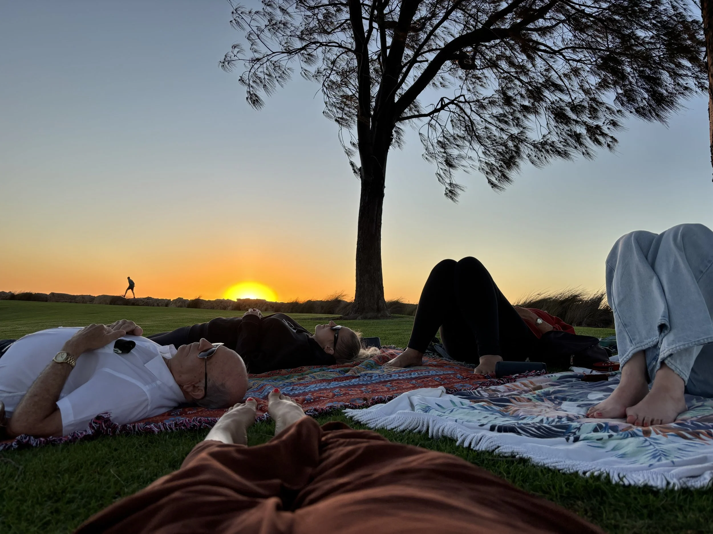 People relaxing on blankets in a park at sunset, with a tree and a person walking in the distance.