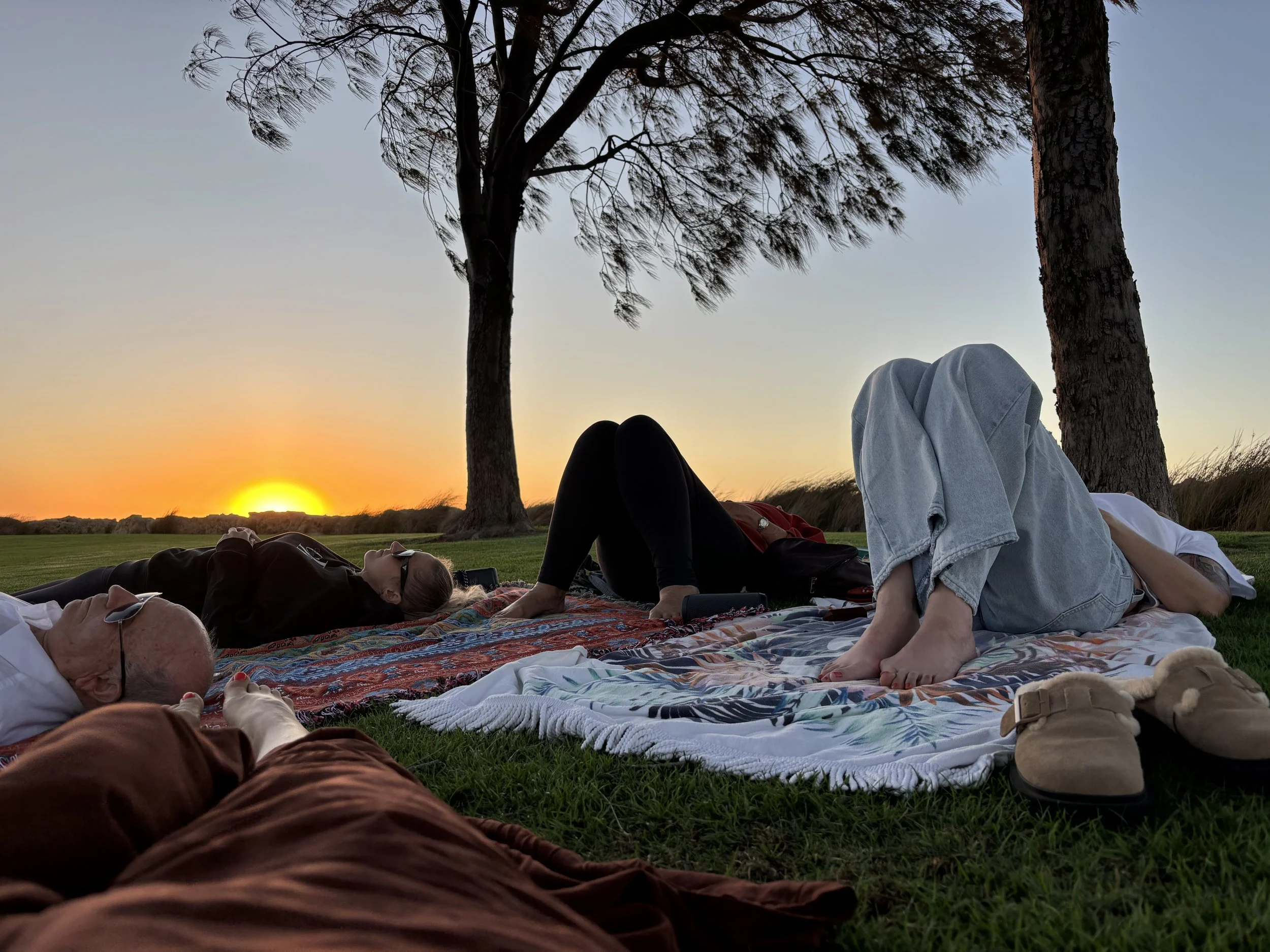 People lying on their backs and sitting on blankets outdoors under trees at sunset, enjoying a relaxing moment together.