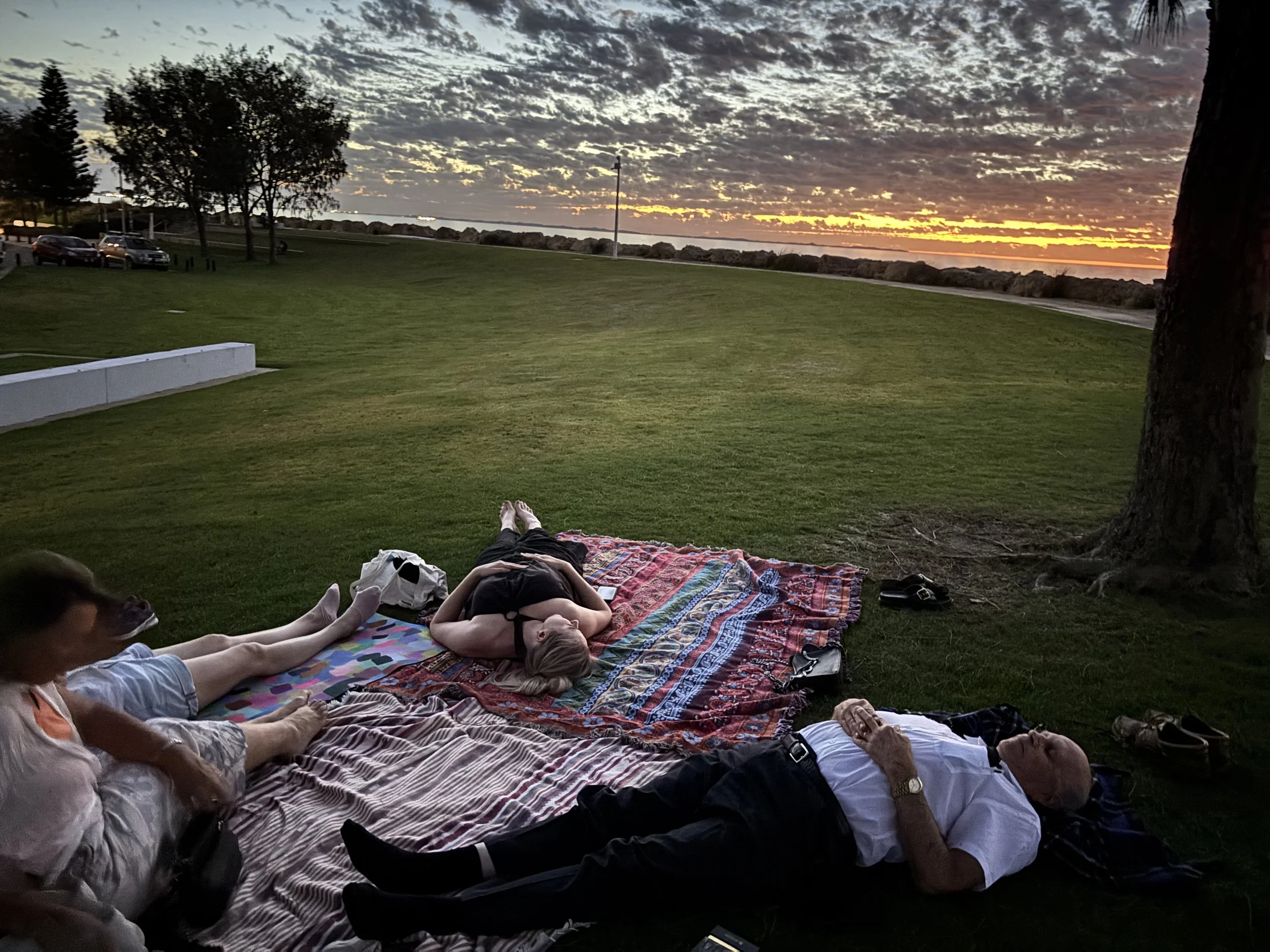 People laying on colorful blankets on grass at the beach during sunset with cloudy sky and trees.